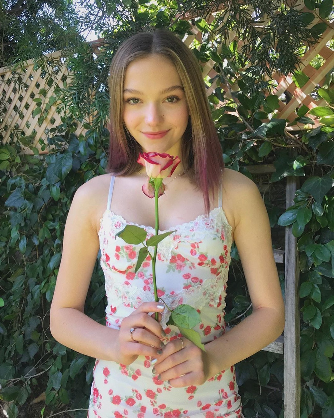 Forest & Flora