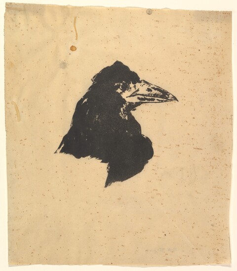 Crow Head Print on Aged Paper