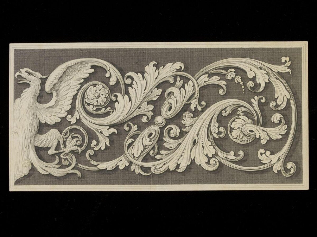 Griffin Acanthus Scrollwork Engraving