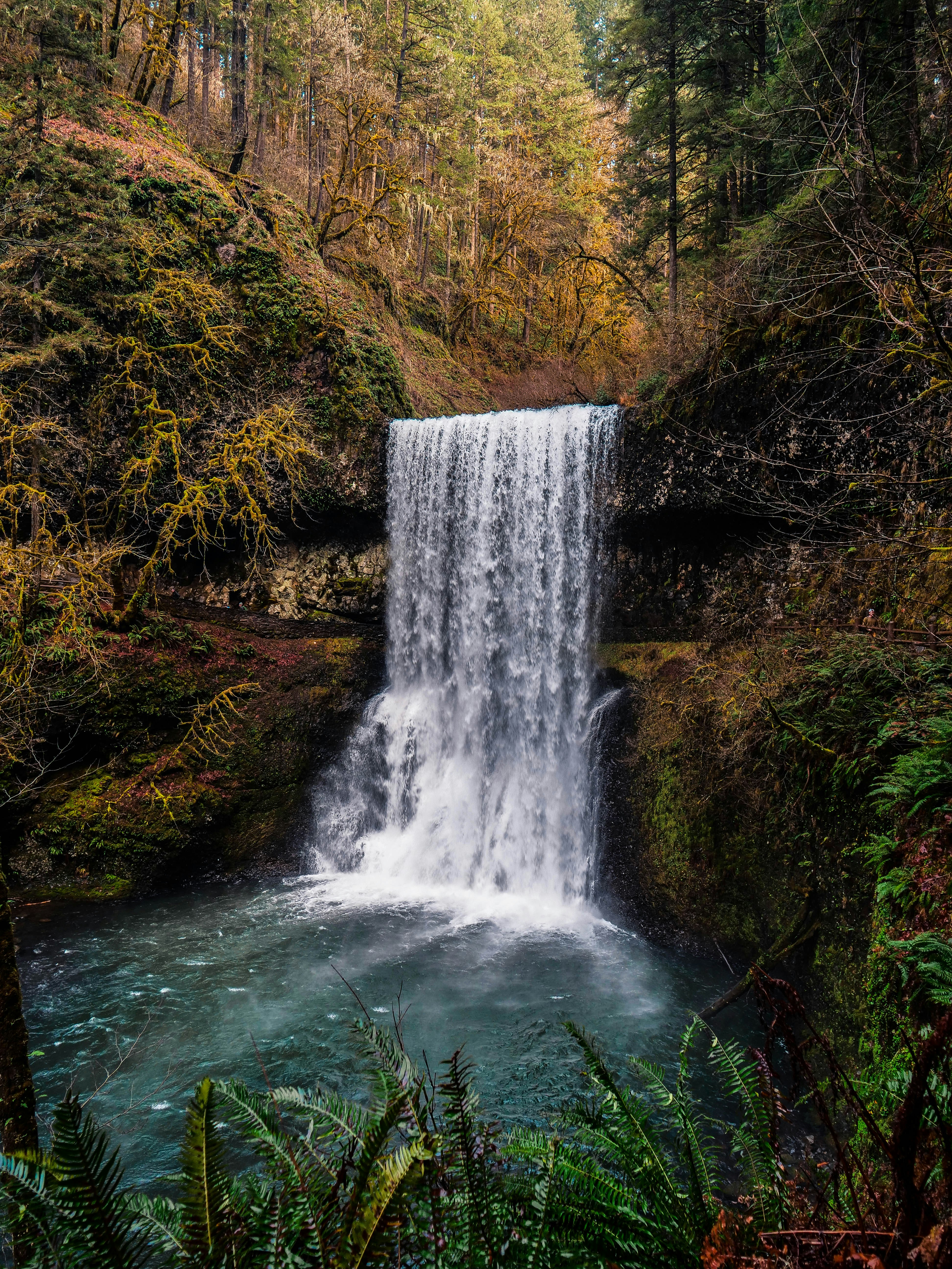 Autumn Forest Waterfall