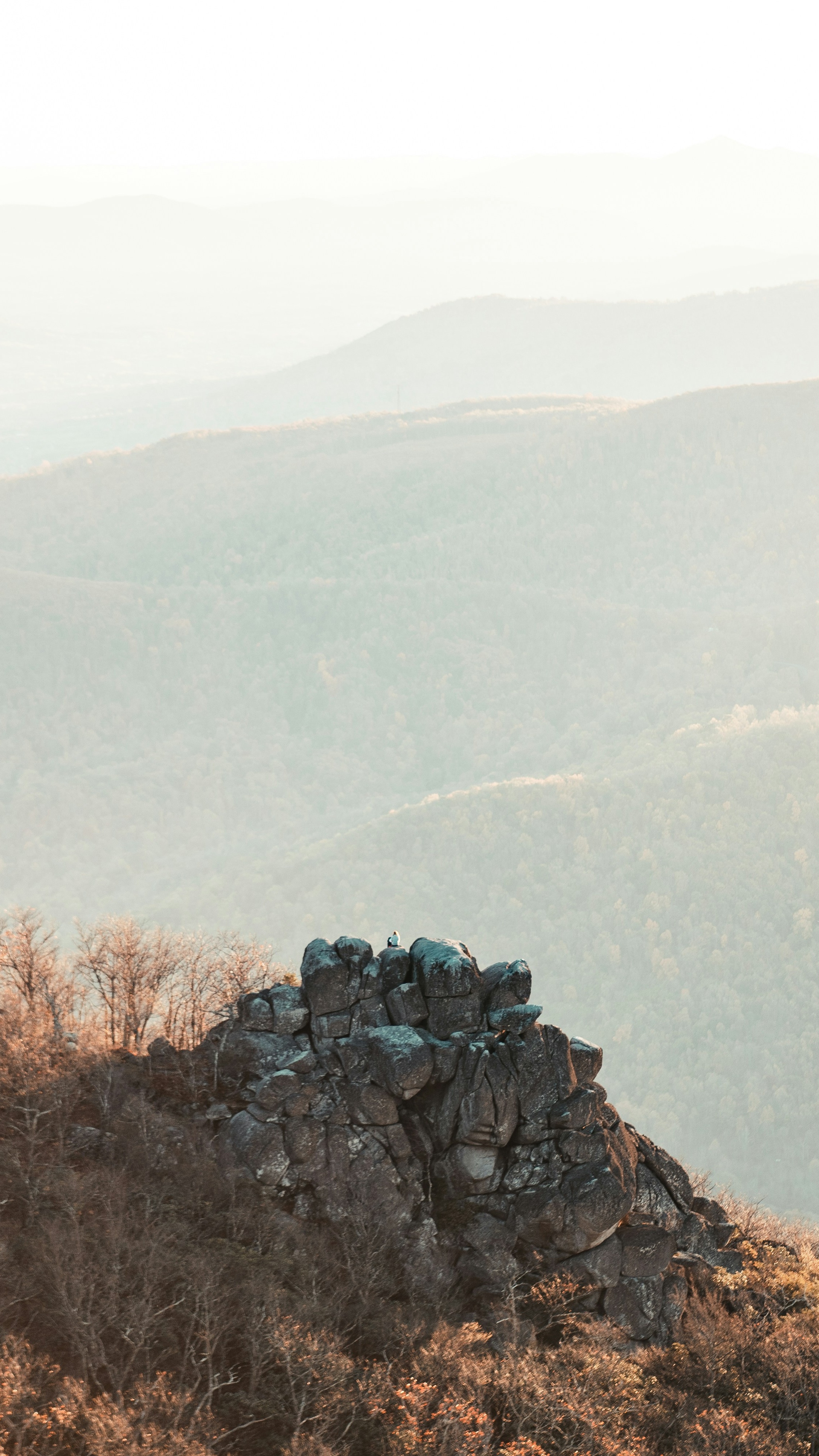 Landscapes