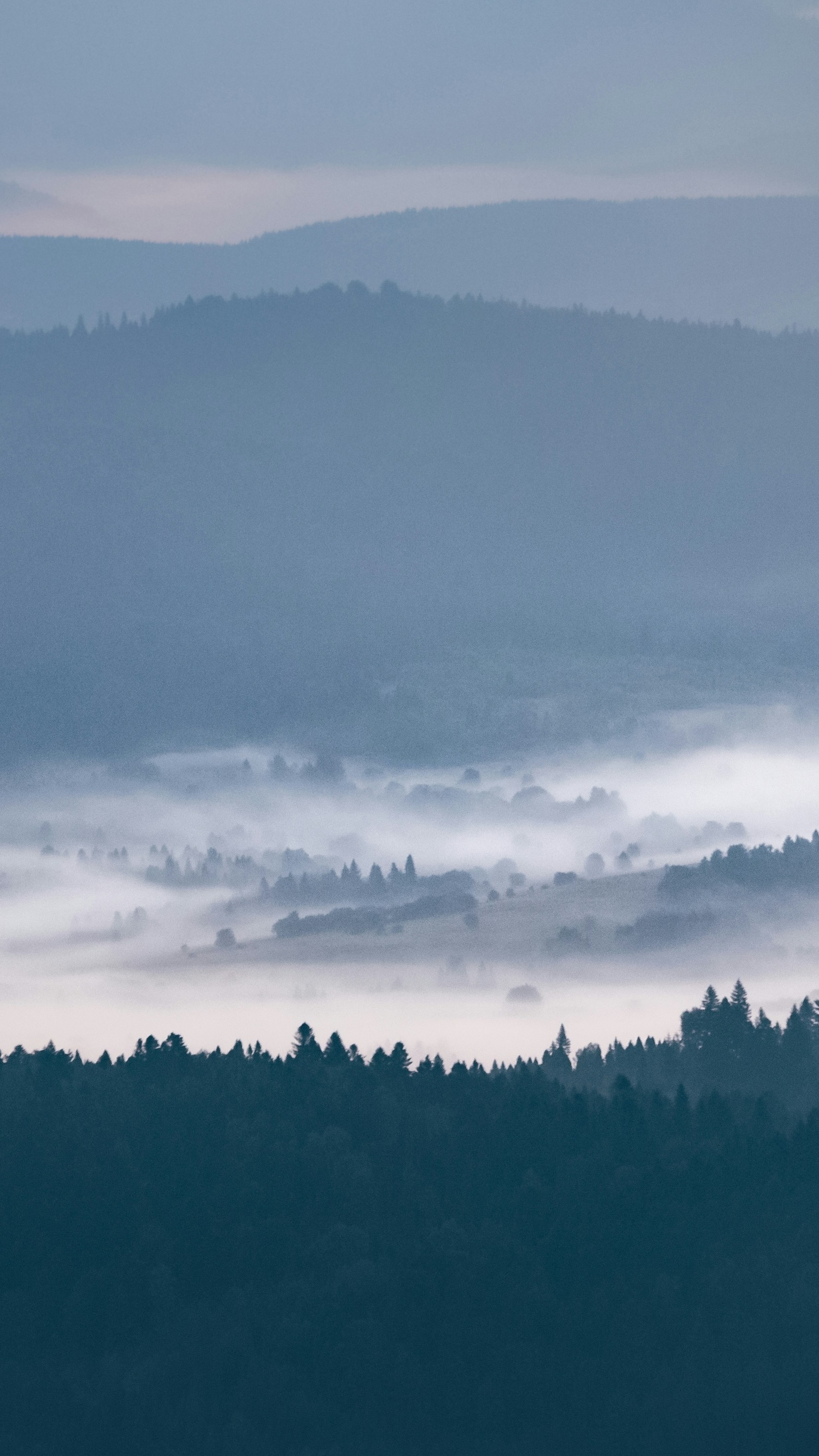 Landscapes