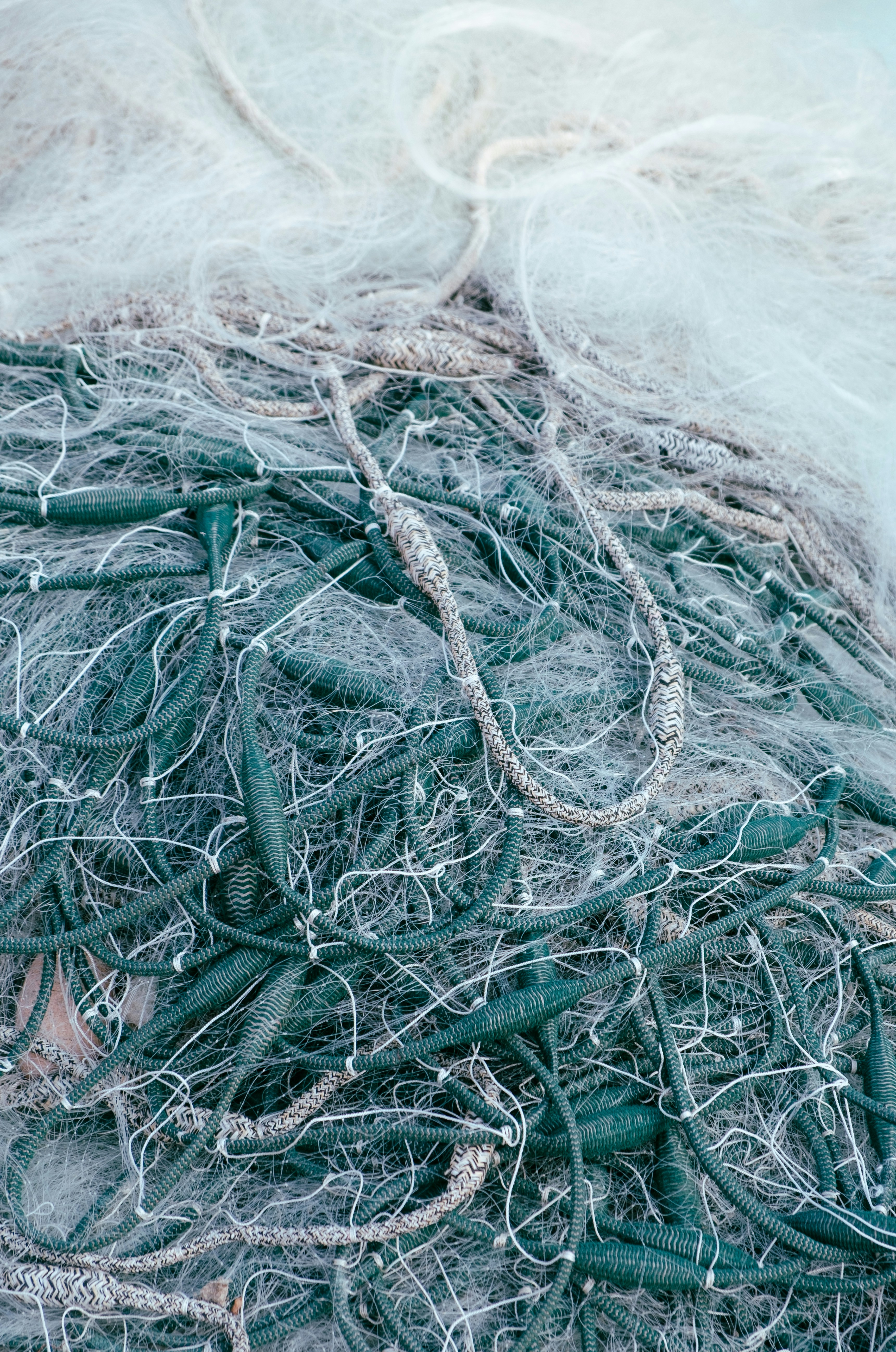 Tangled Commercial Fishing Net