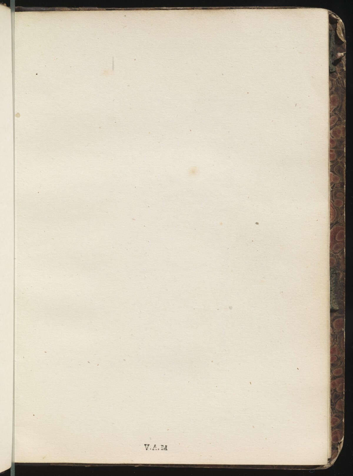 Blank Endpaper of Antique Book