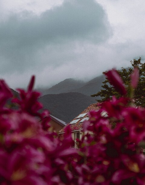 Misty Mountain Village With Red Flowers