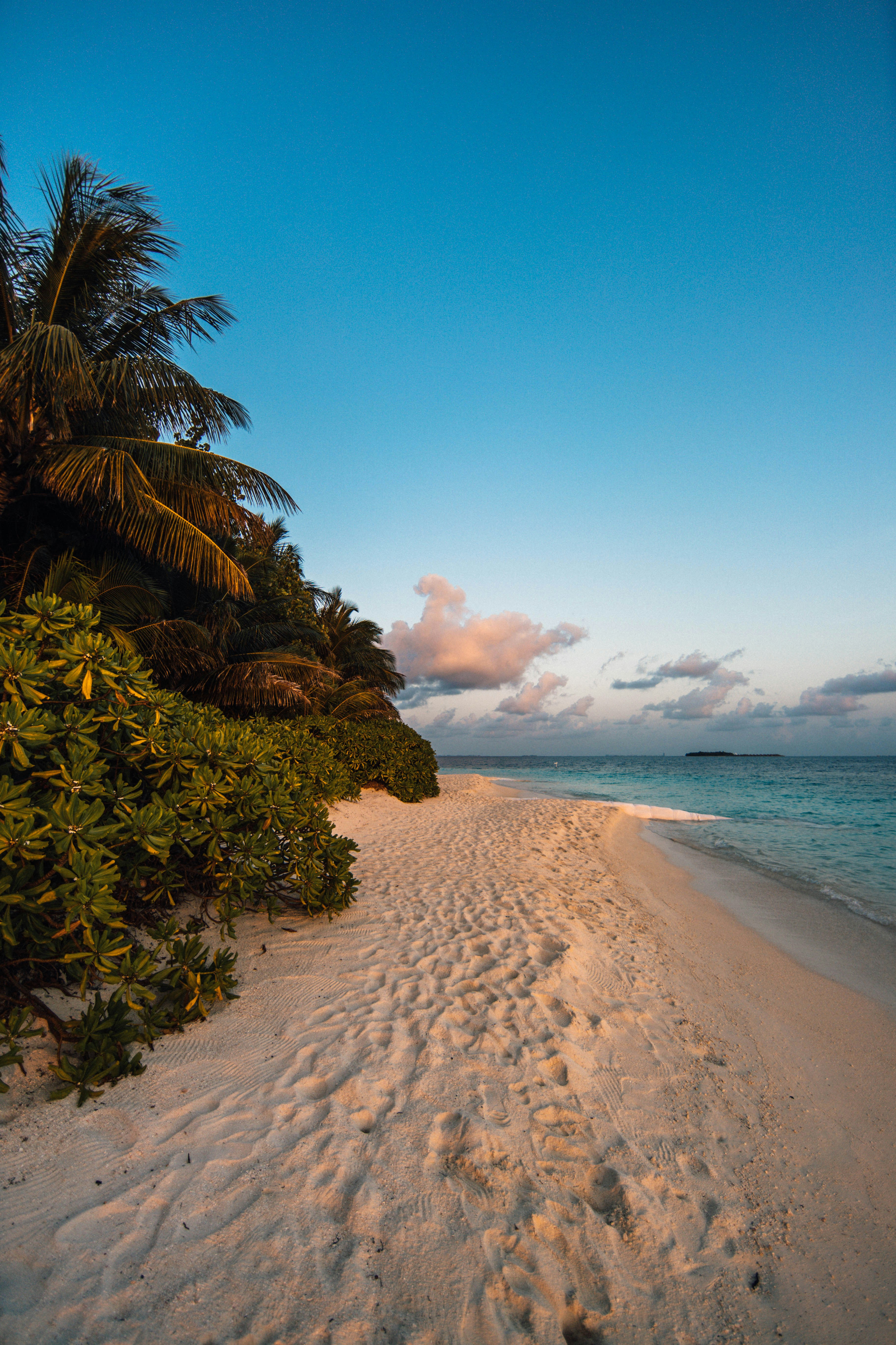 Tropical Sandy Beach View