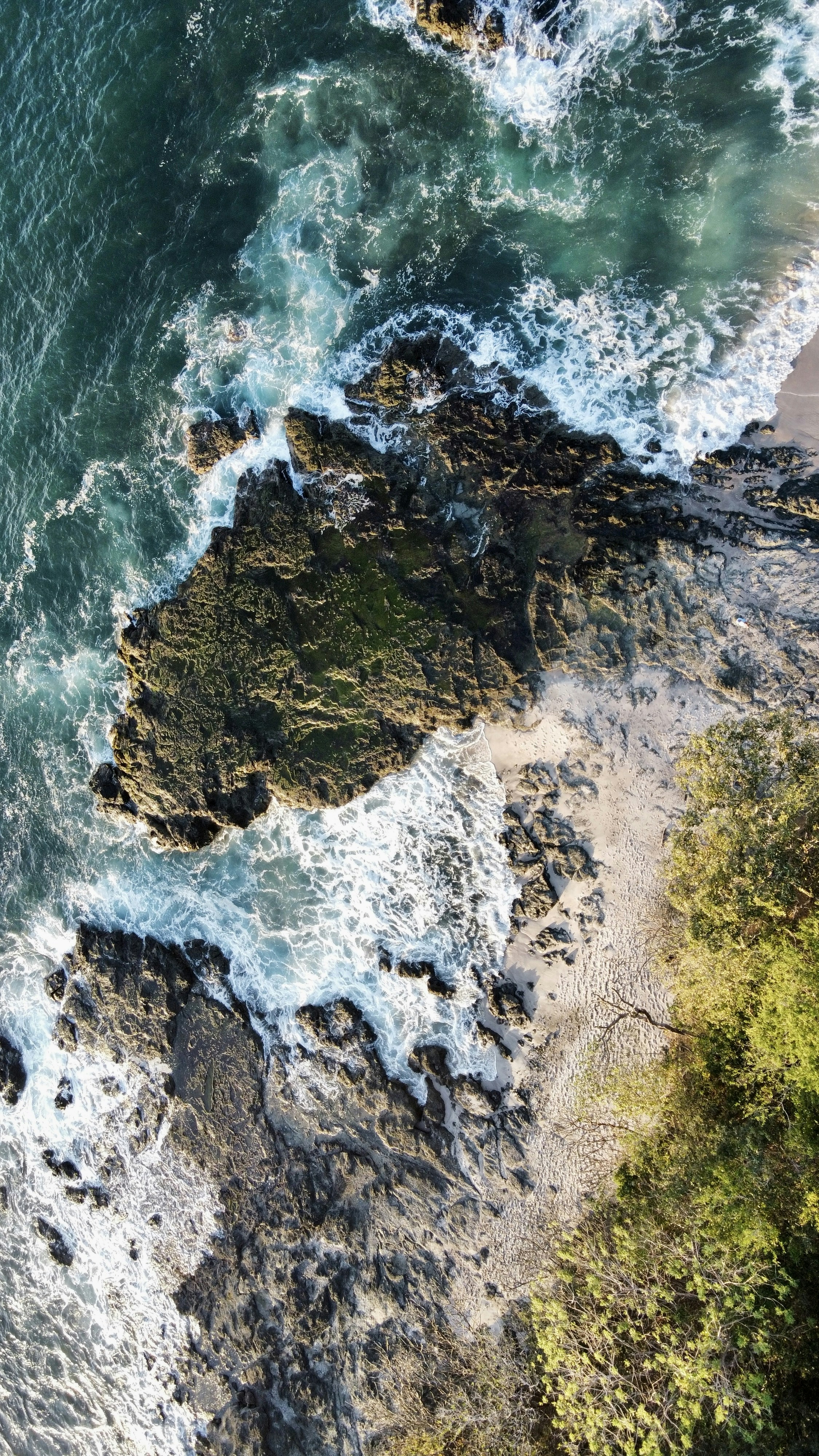 Wallpapers