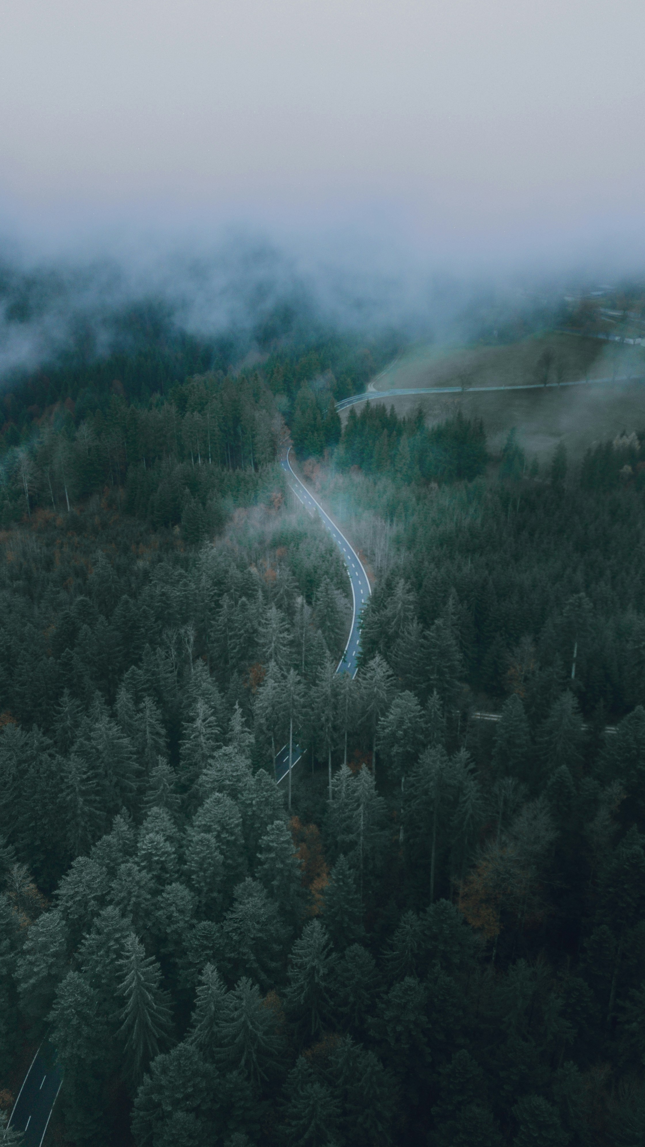 Wallpapers