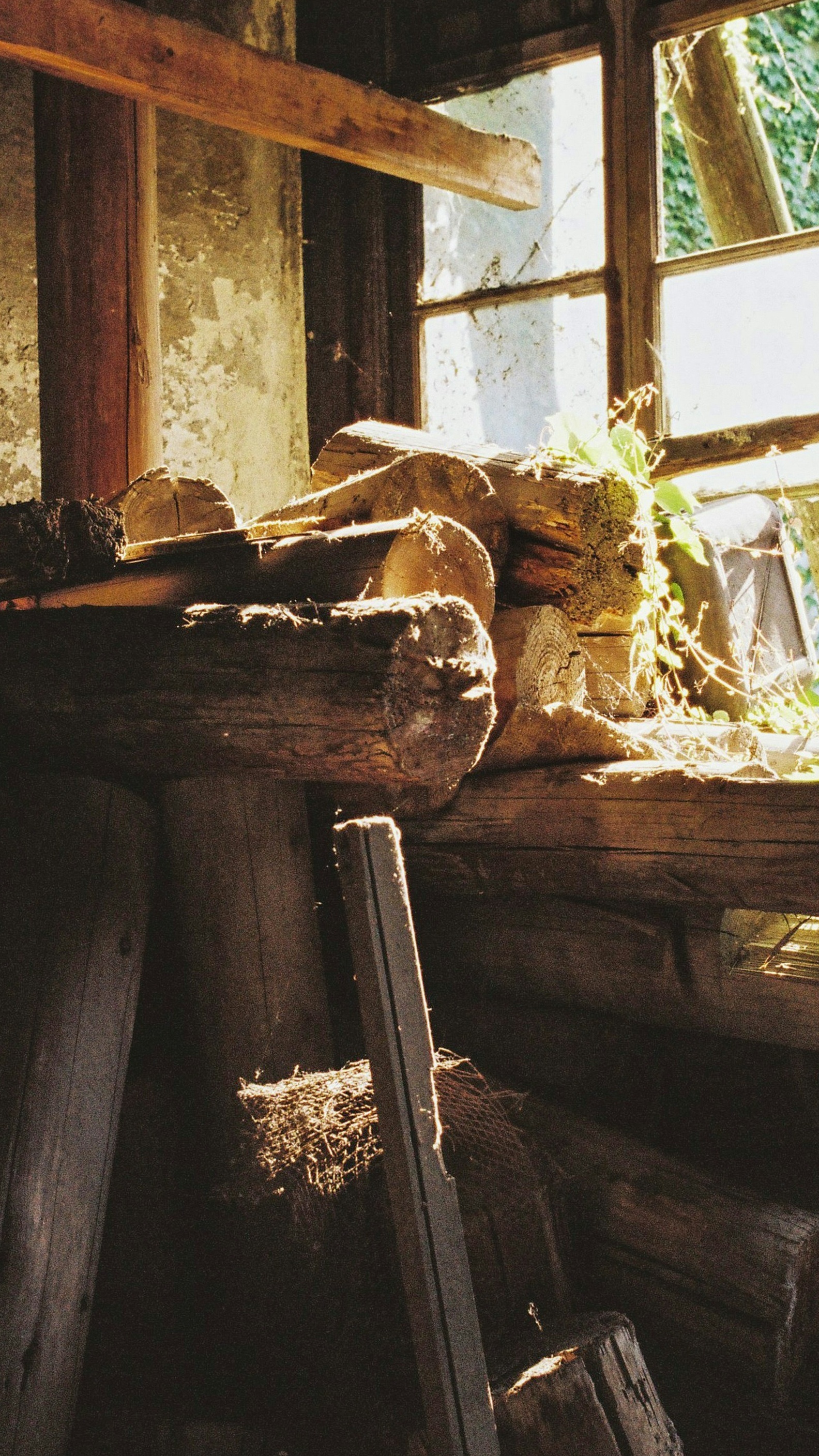 Wallpapers