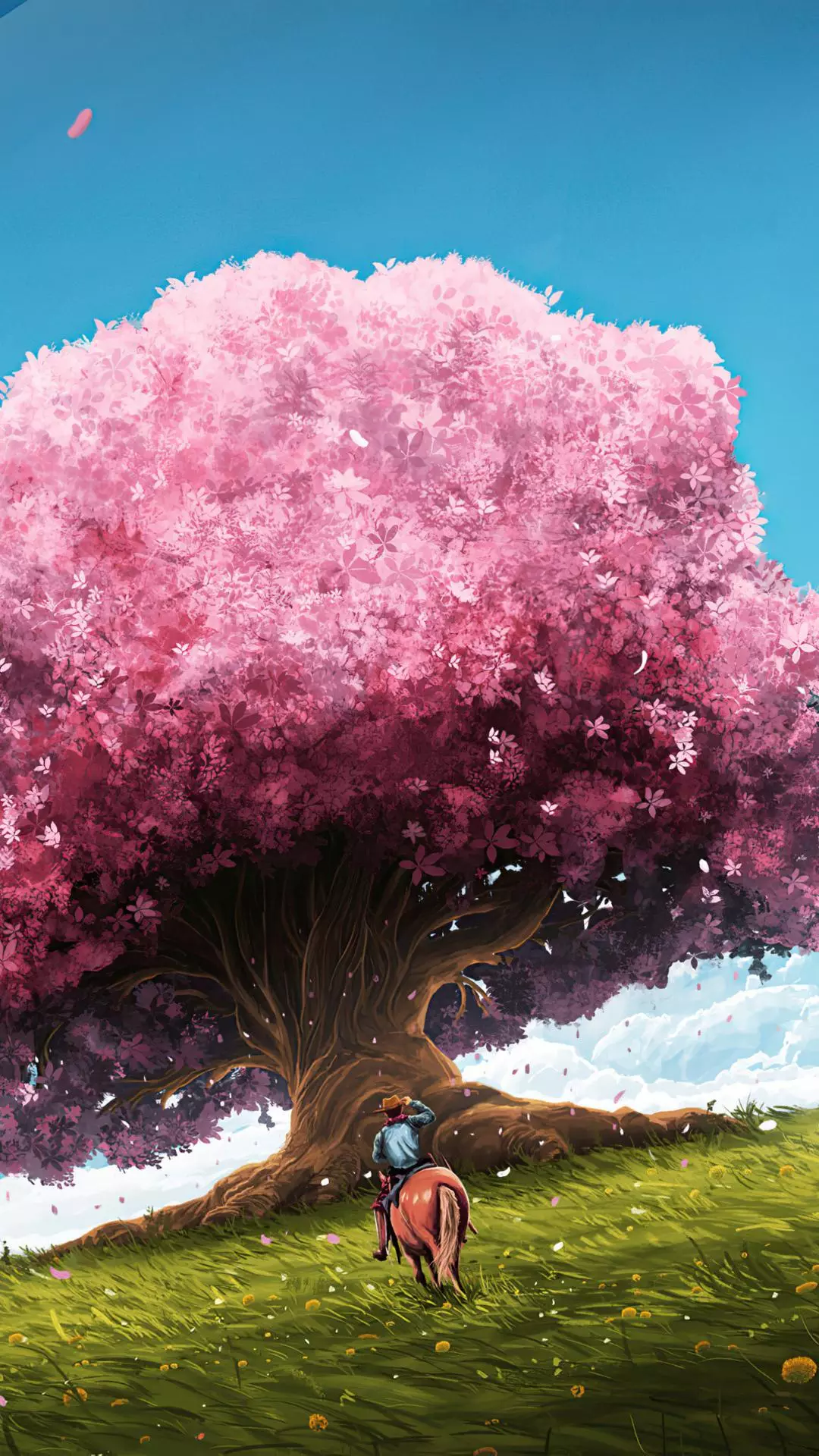 Wallpapers