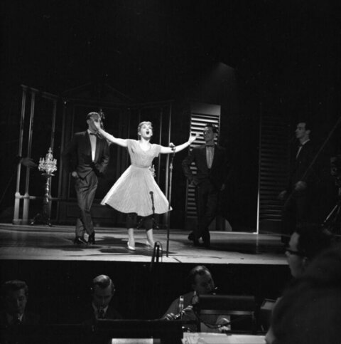 Female Singer Performing On Stage