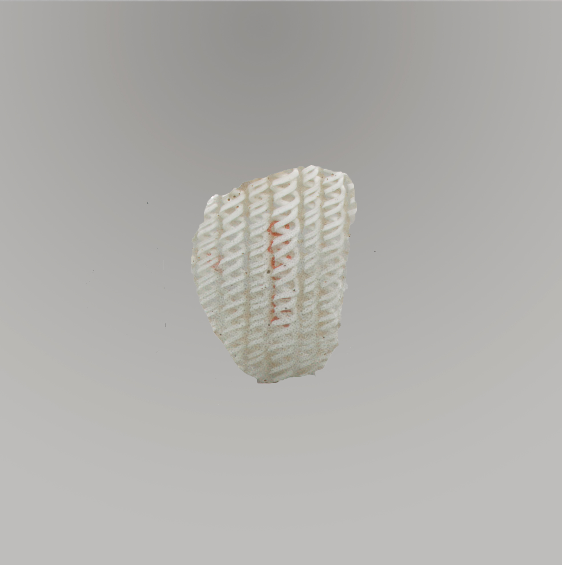 3D Printed Porous Lattice Sample