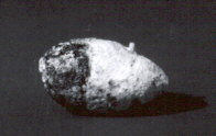 Rocky Asteroid in Deep Space