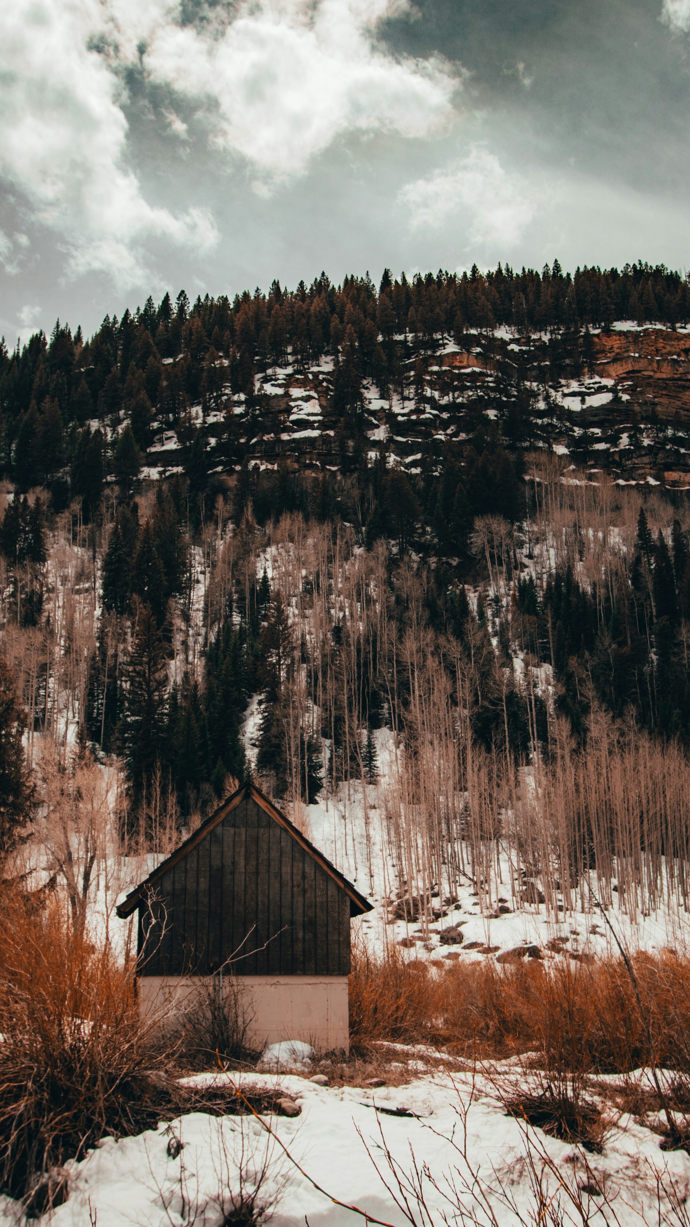 Wallpapers