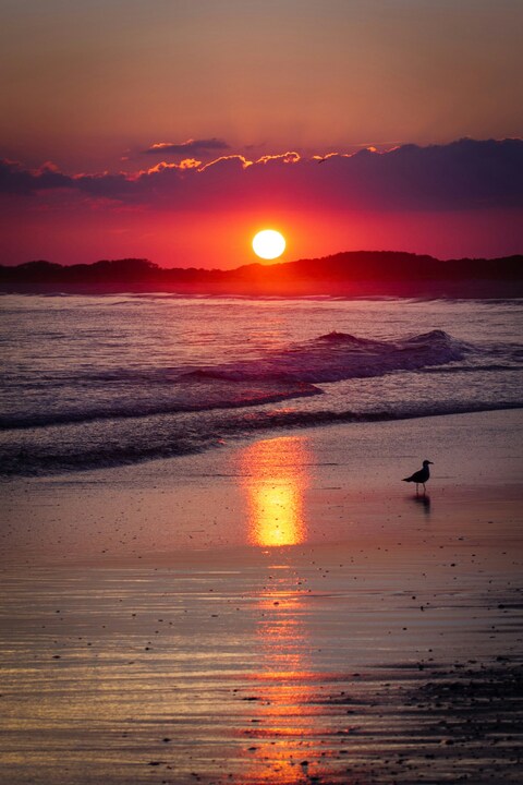 Beach Sunset Coastal View