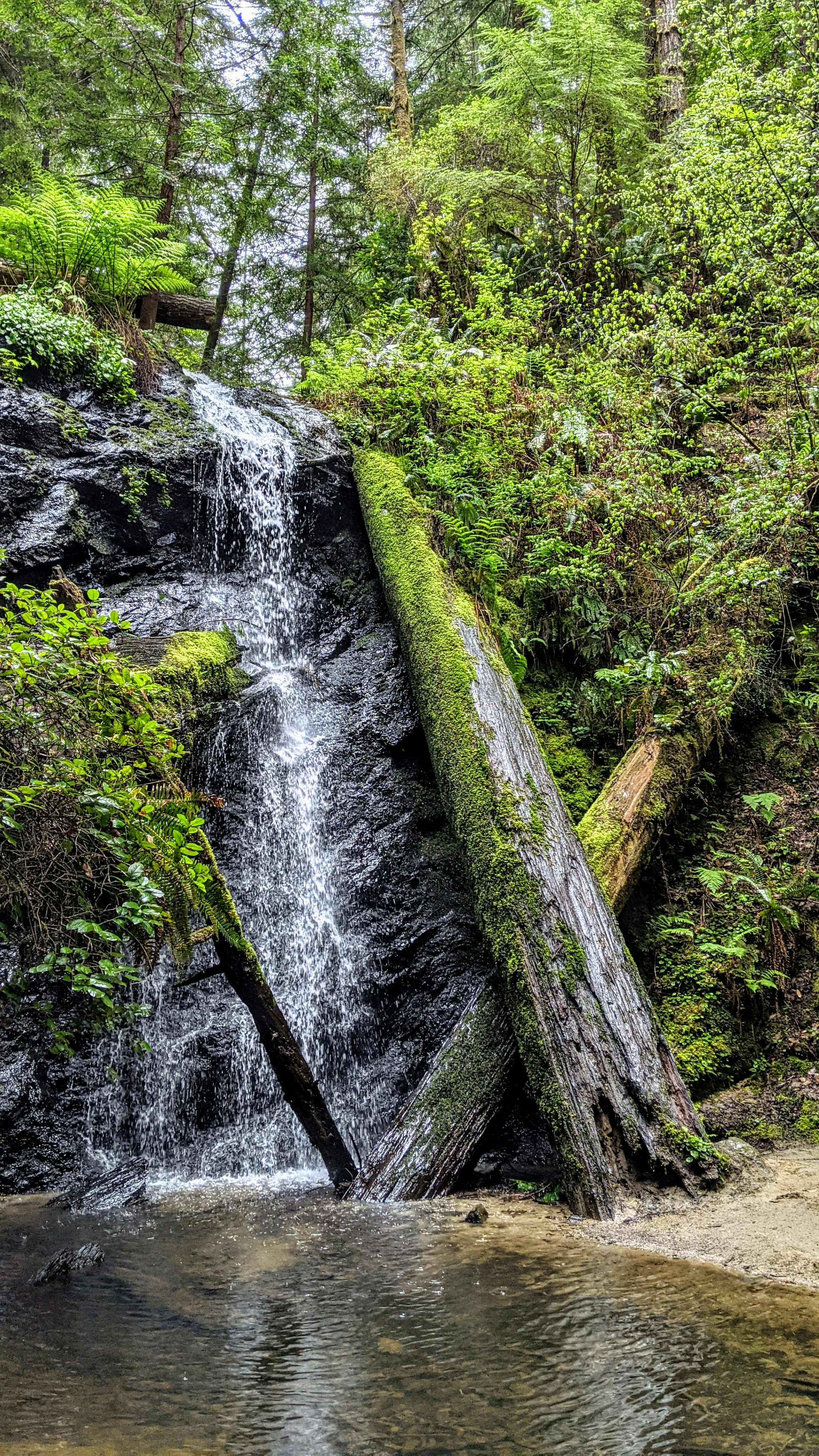 Image 1617619 — Backgrounds