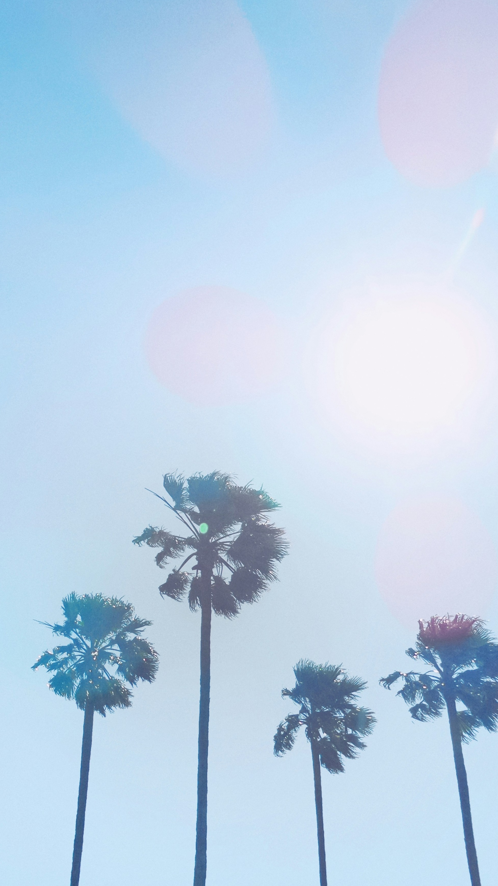 Wallpapers