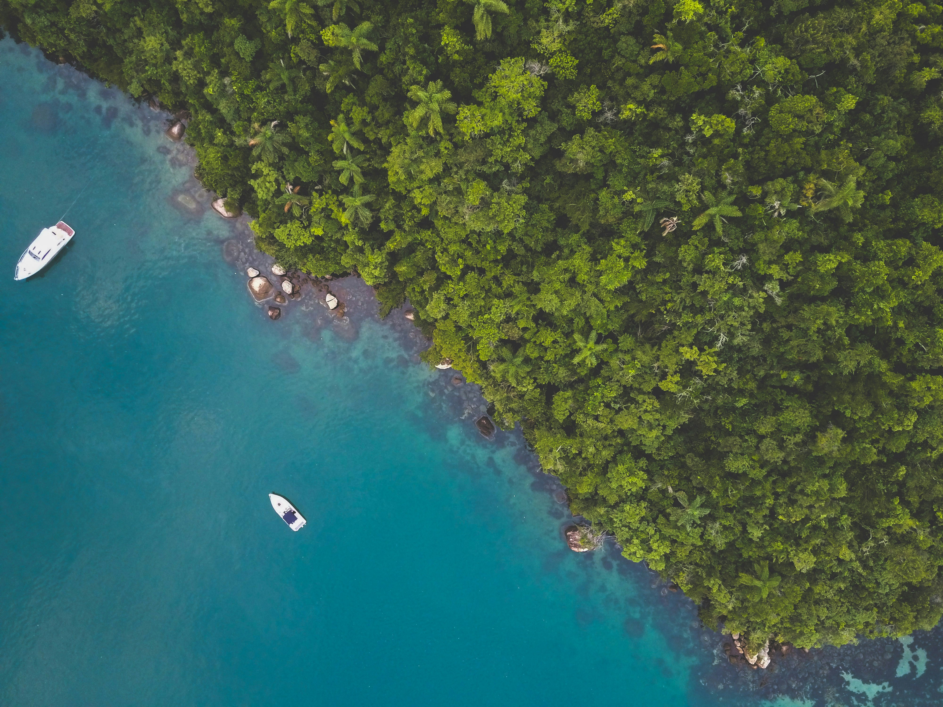 Aerial View of Tropical Coastal Bay