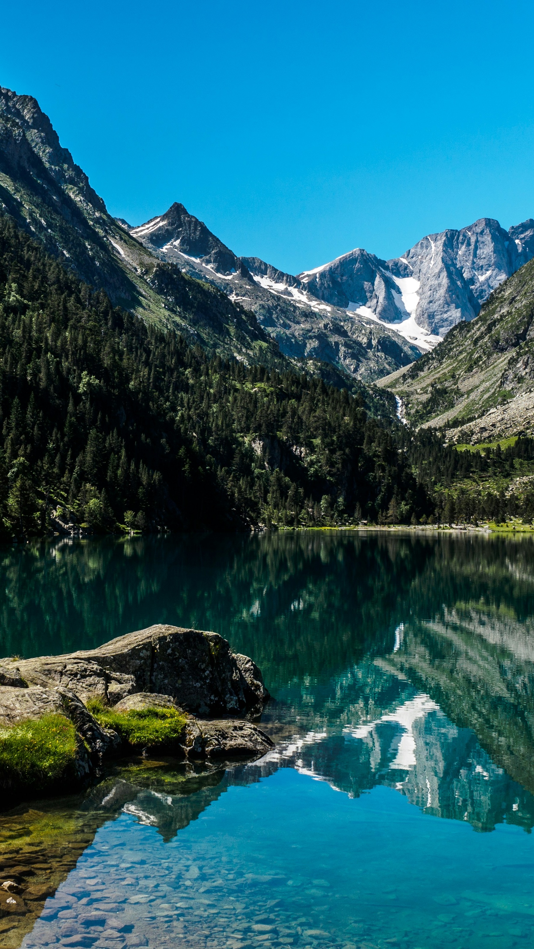 Wallpapers