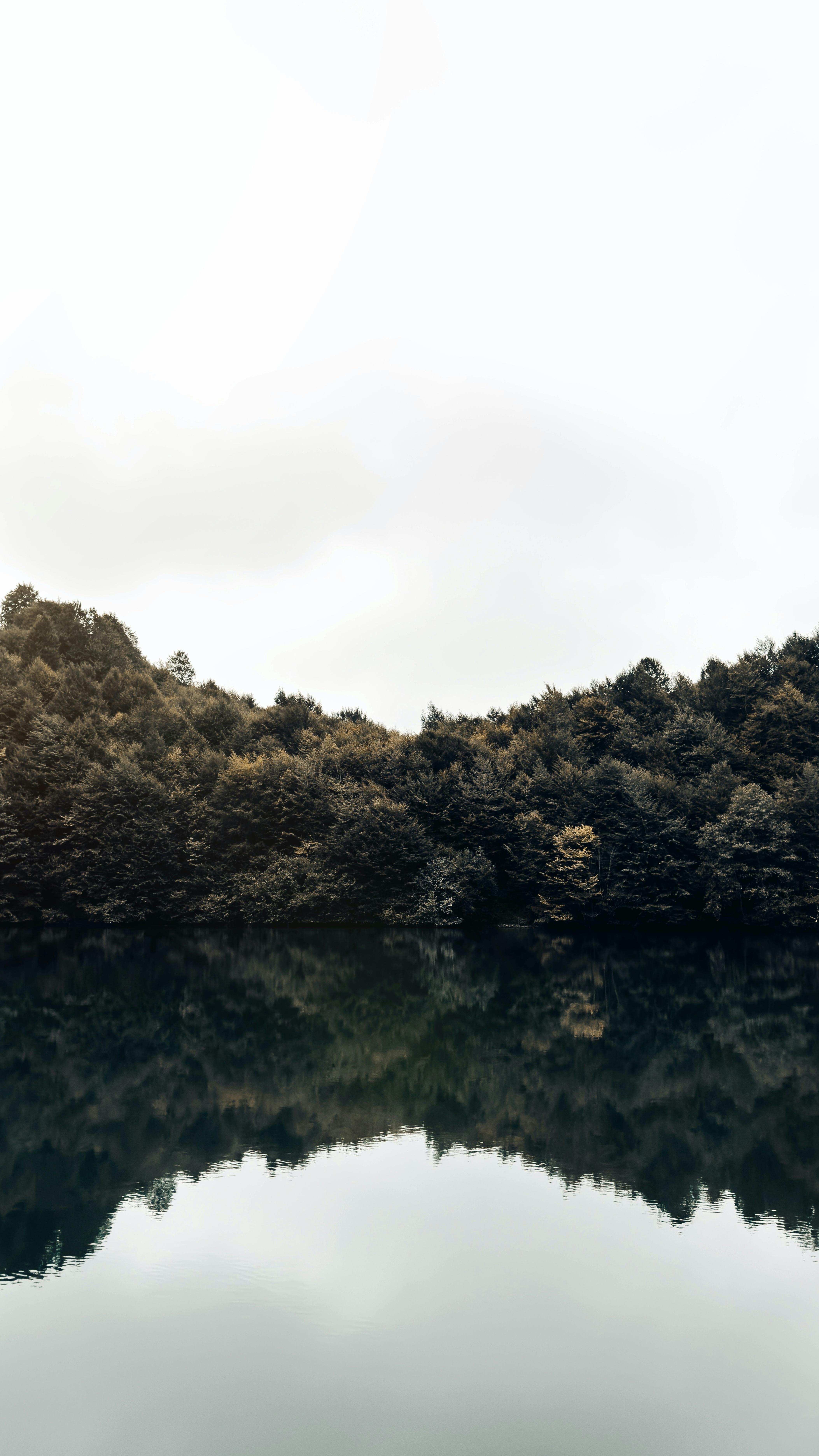 Landscapes
