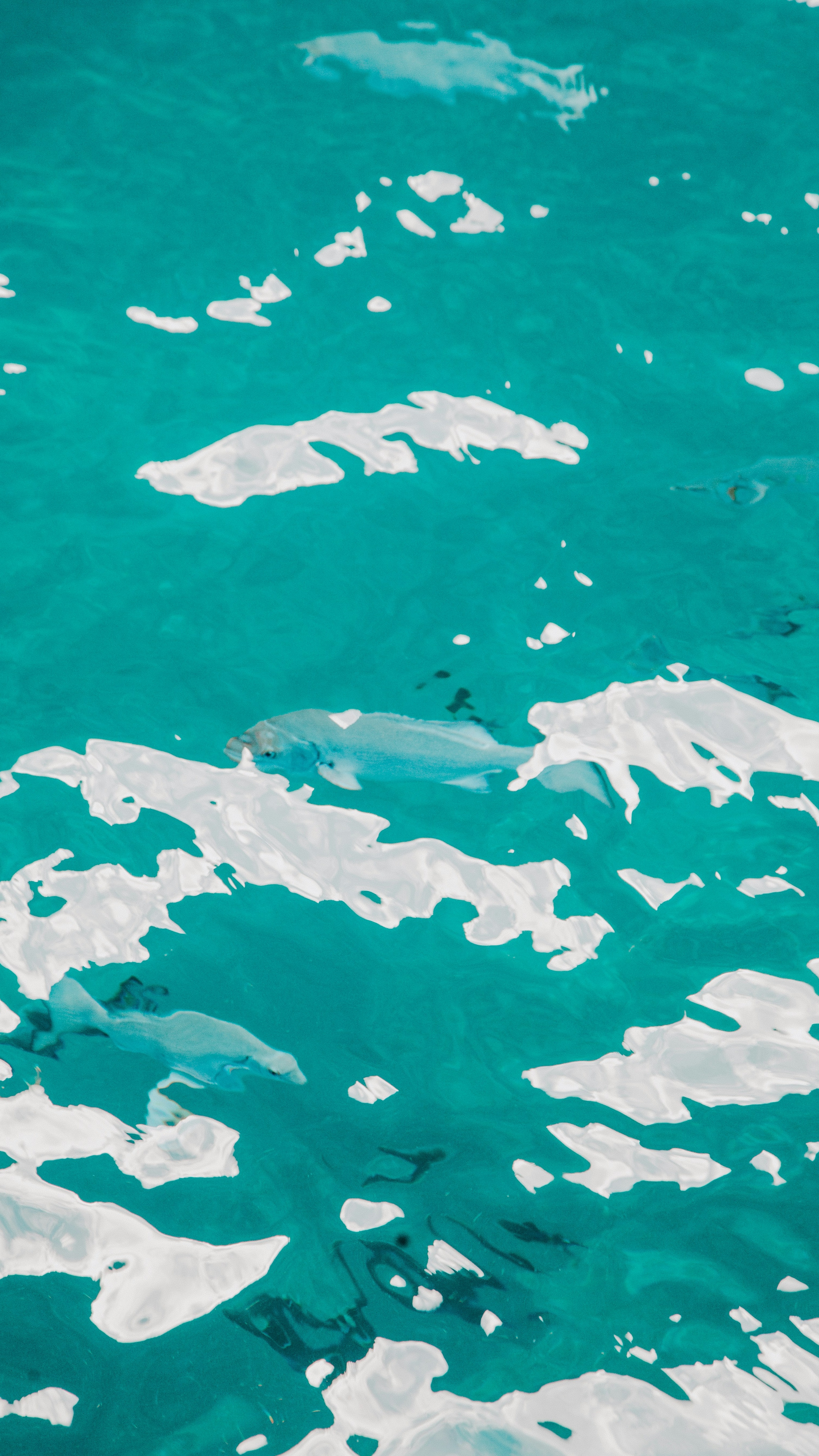 Ocean World