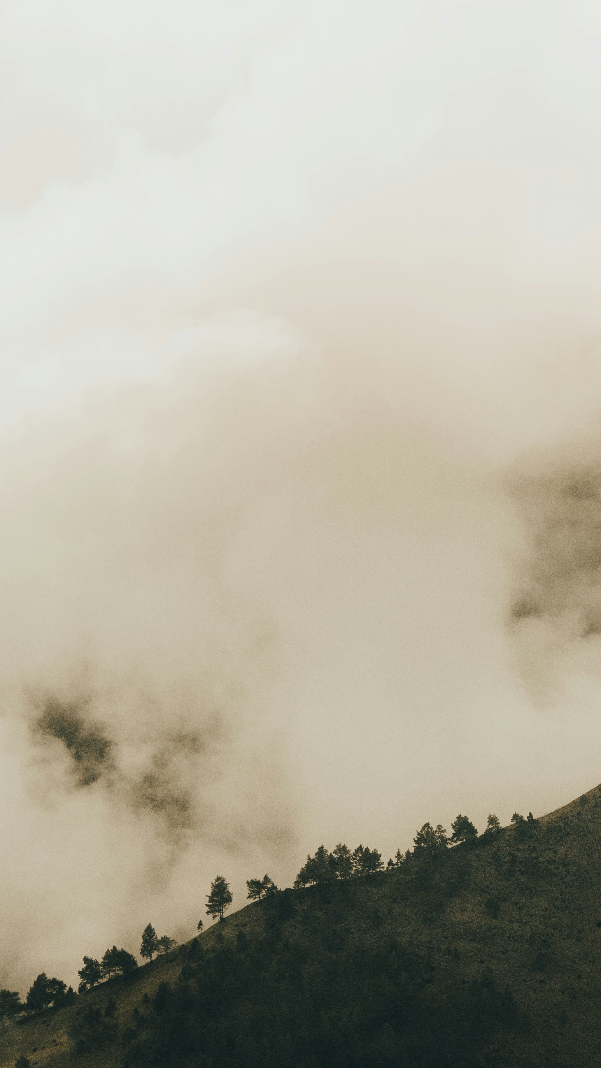 Landscapes