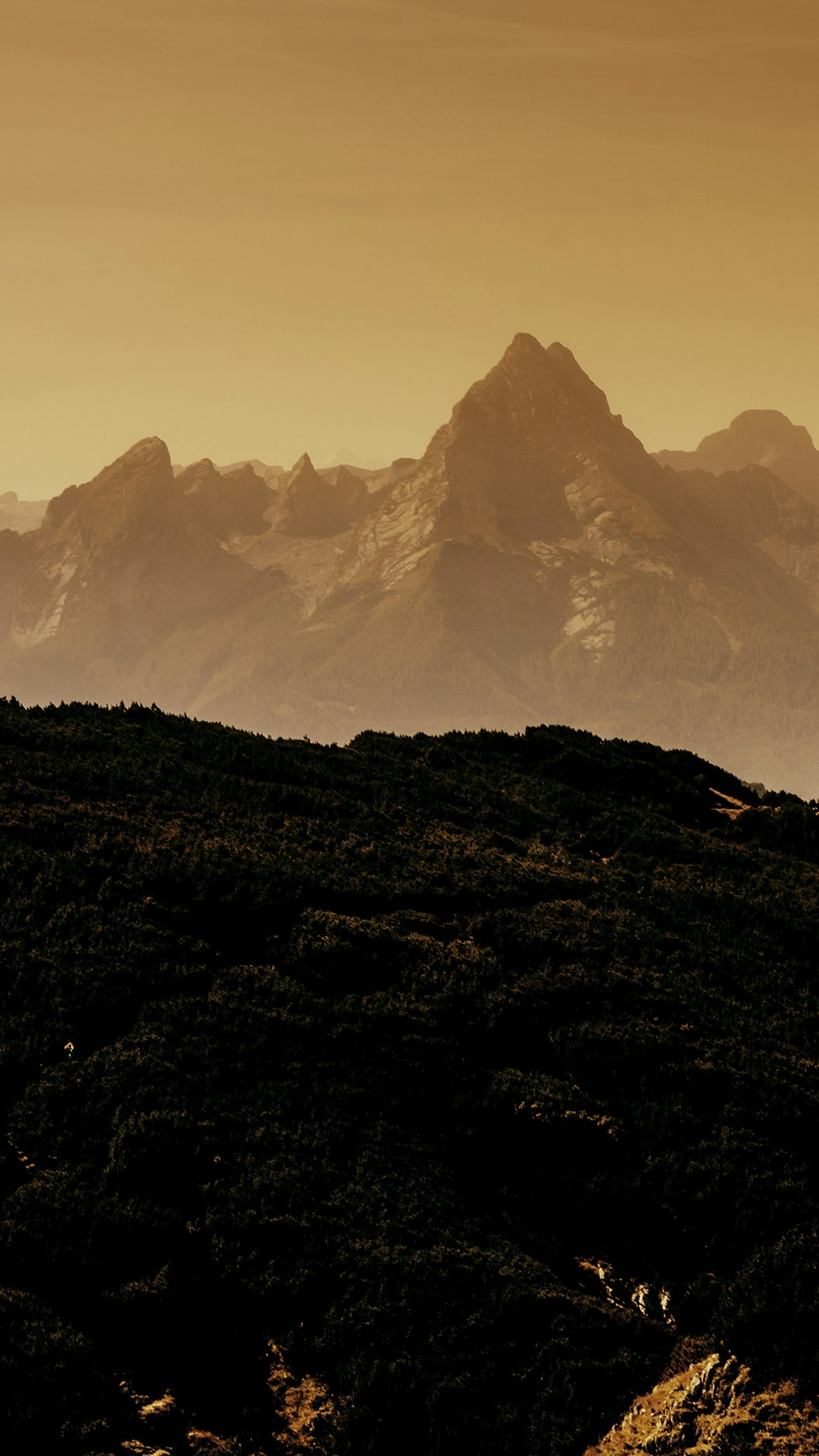 Wallpapers