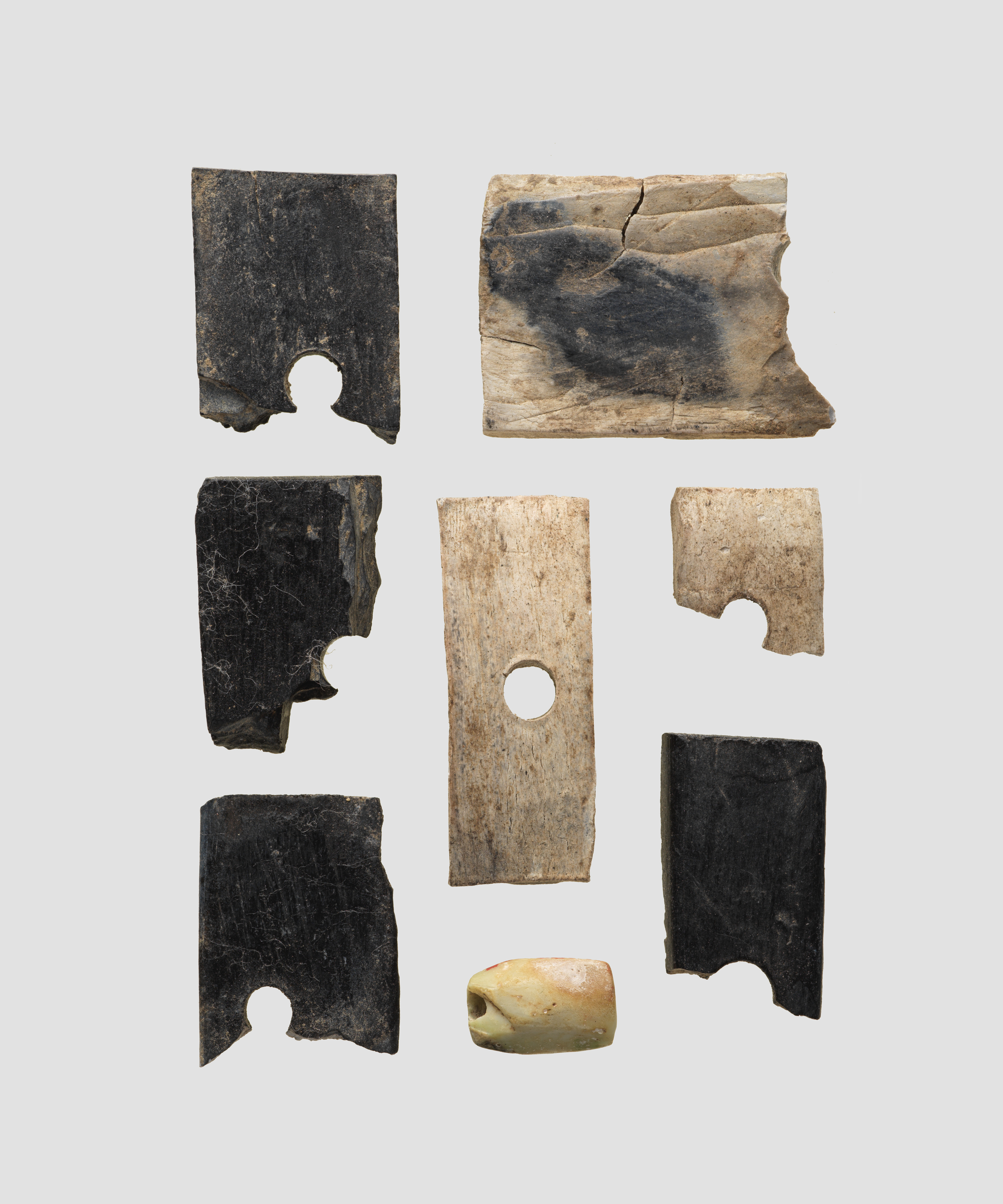 Ancient Archaeological Artifact Fragments
