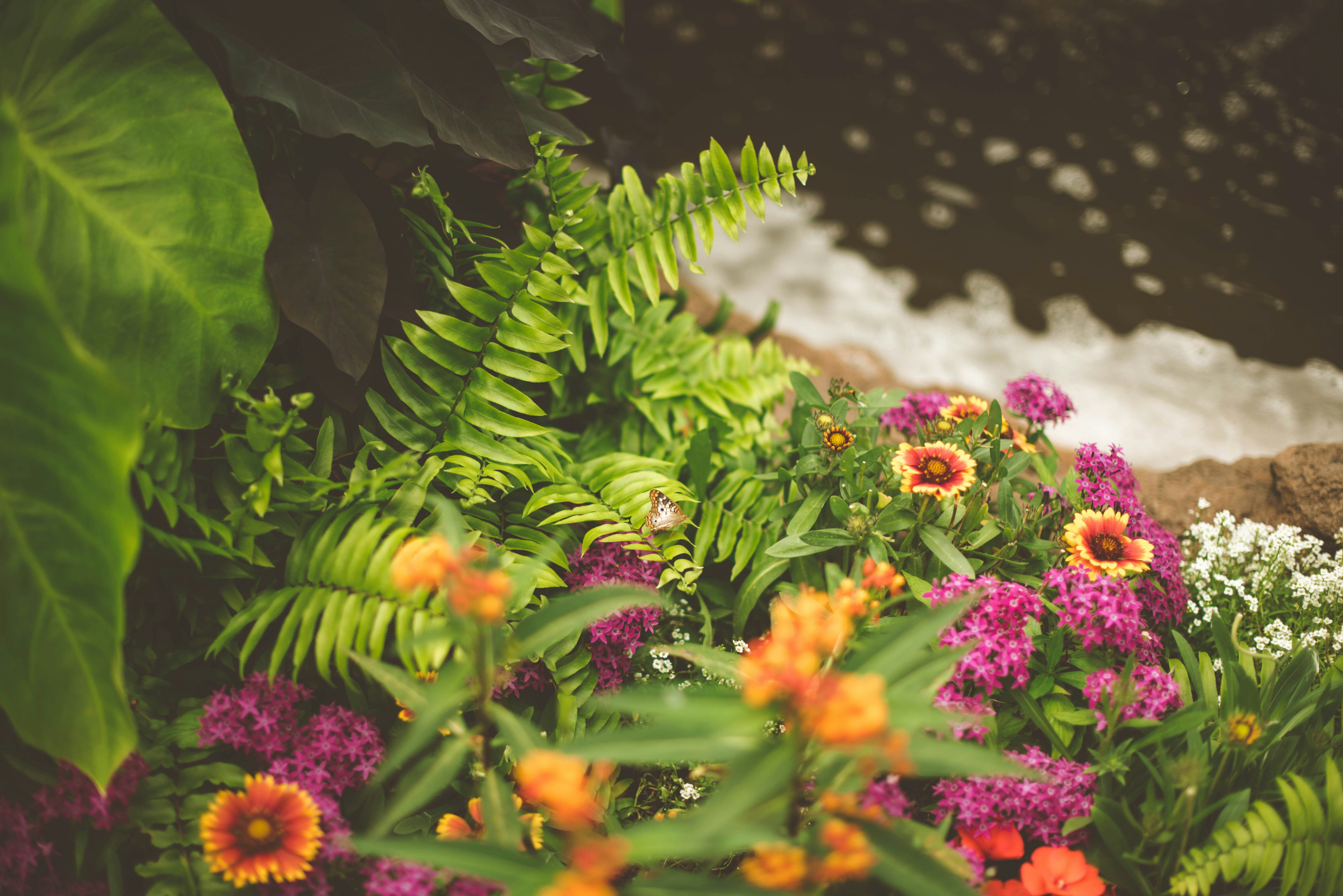 Lush Flower Bed By The Water
