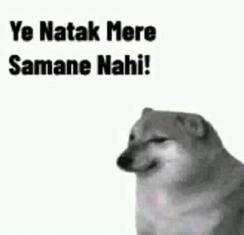Smug Dog Hindi Natak Meme