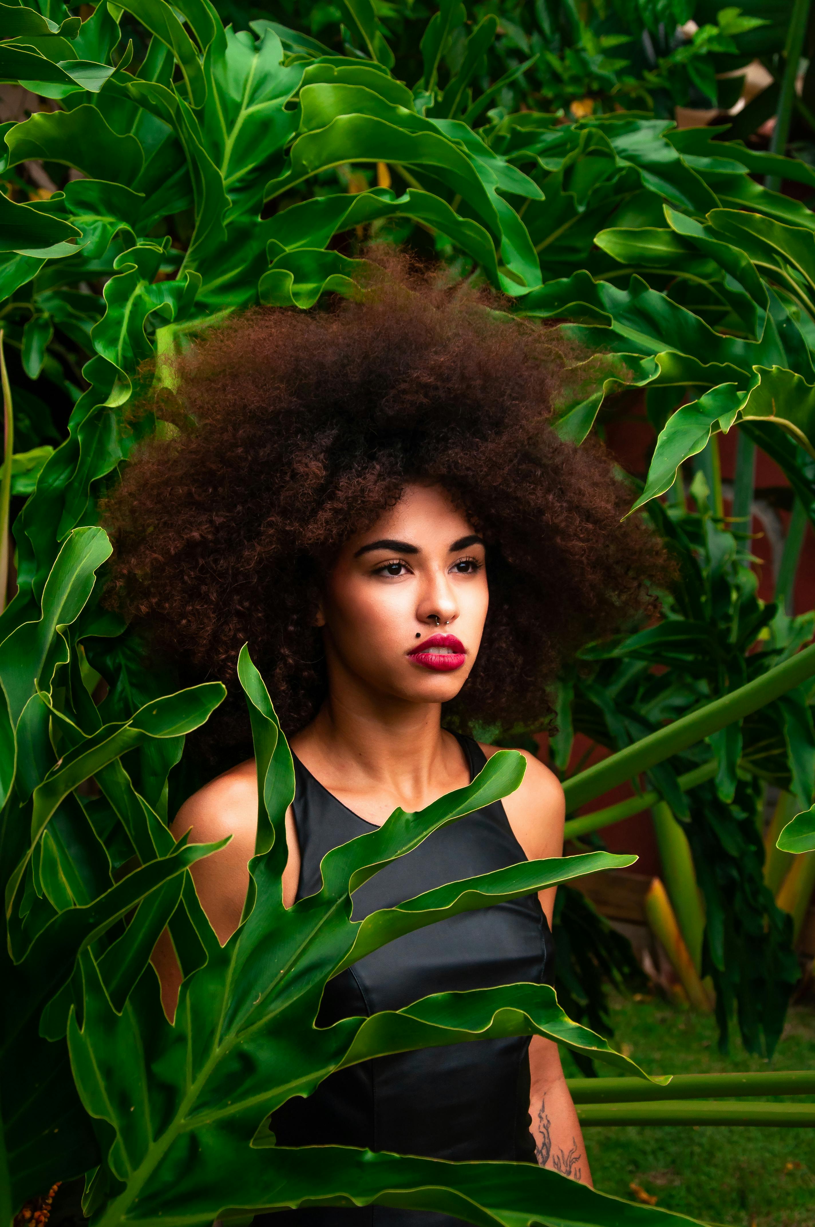 Forest & Flora