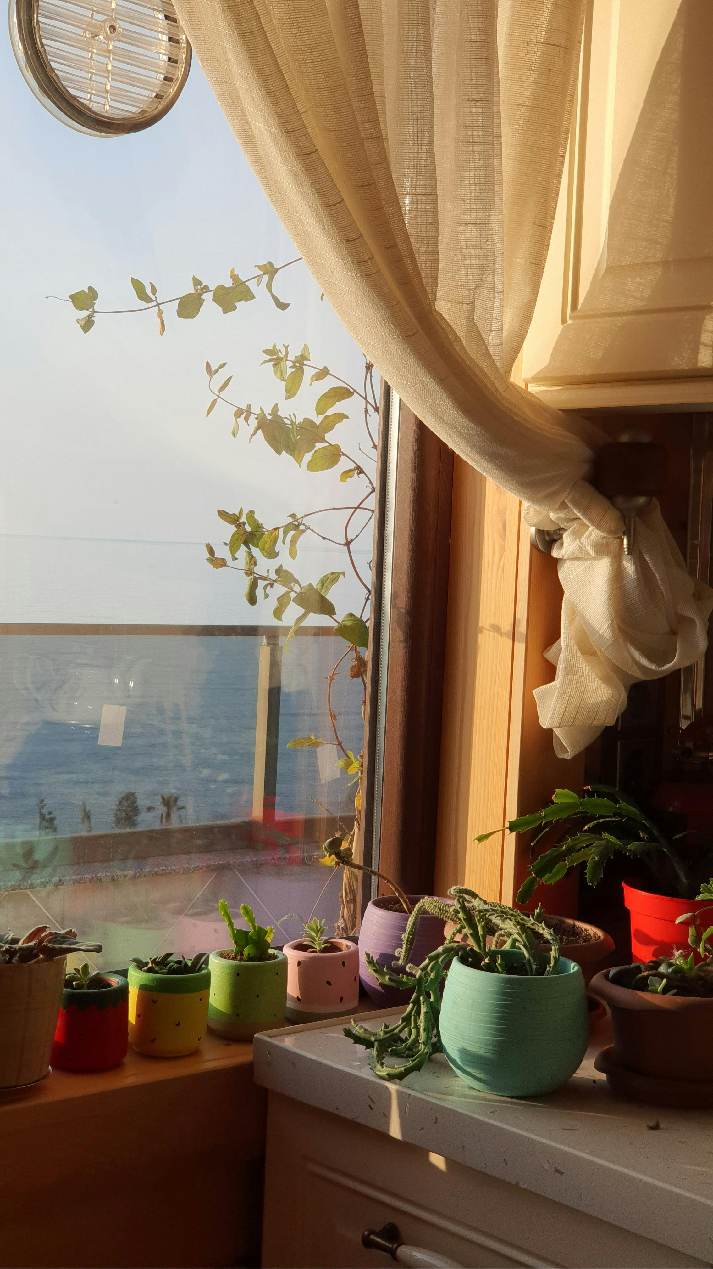 Home Decoration