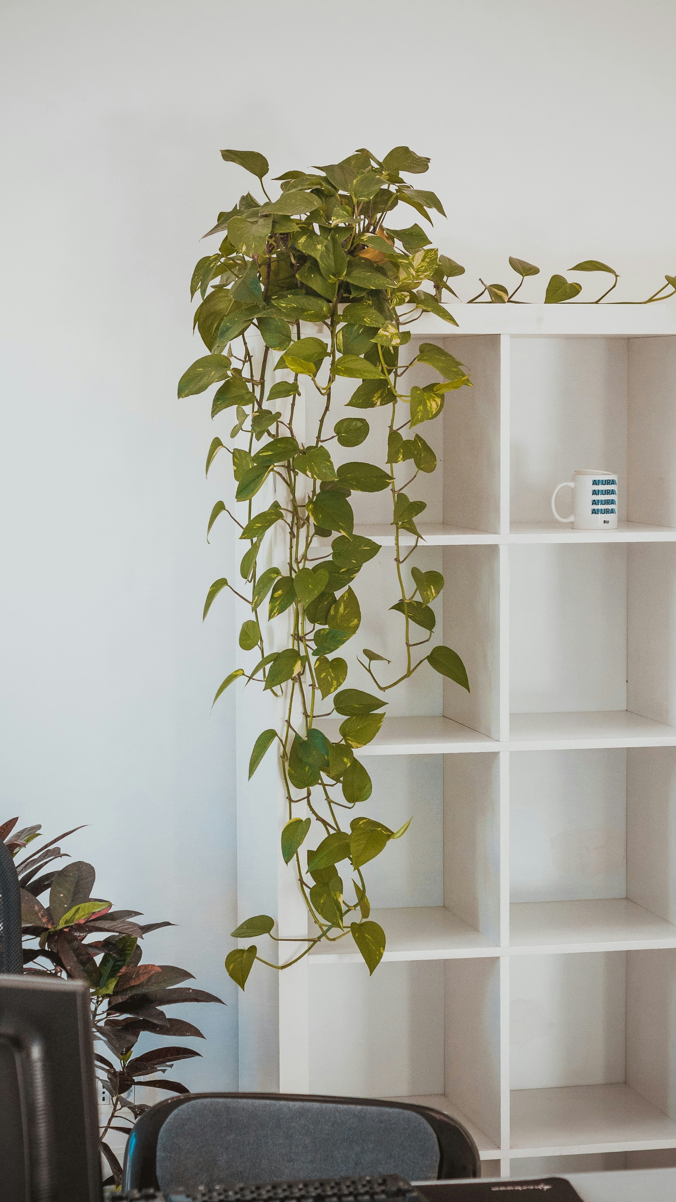 Home Decoration