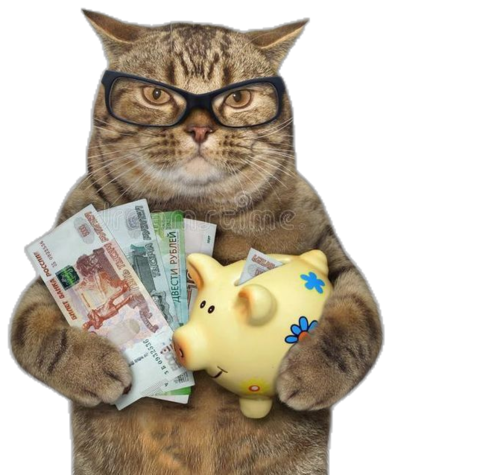 Cat with glasses holding money and piggy bank