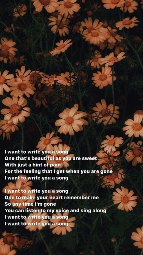 Peach Daisies with Song Lyrics