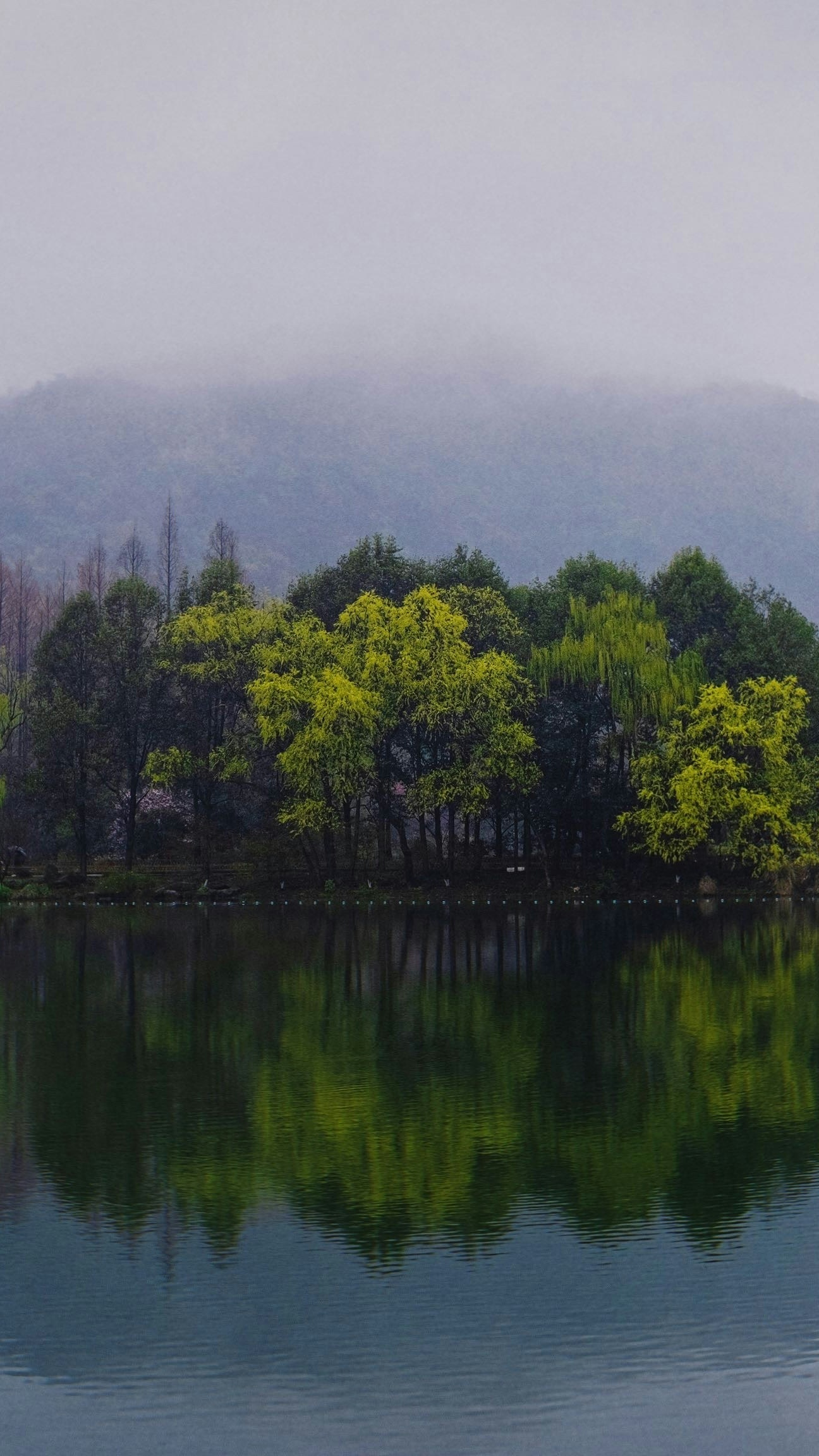 Landscapes