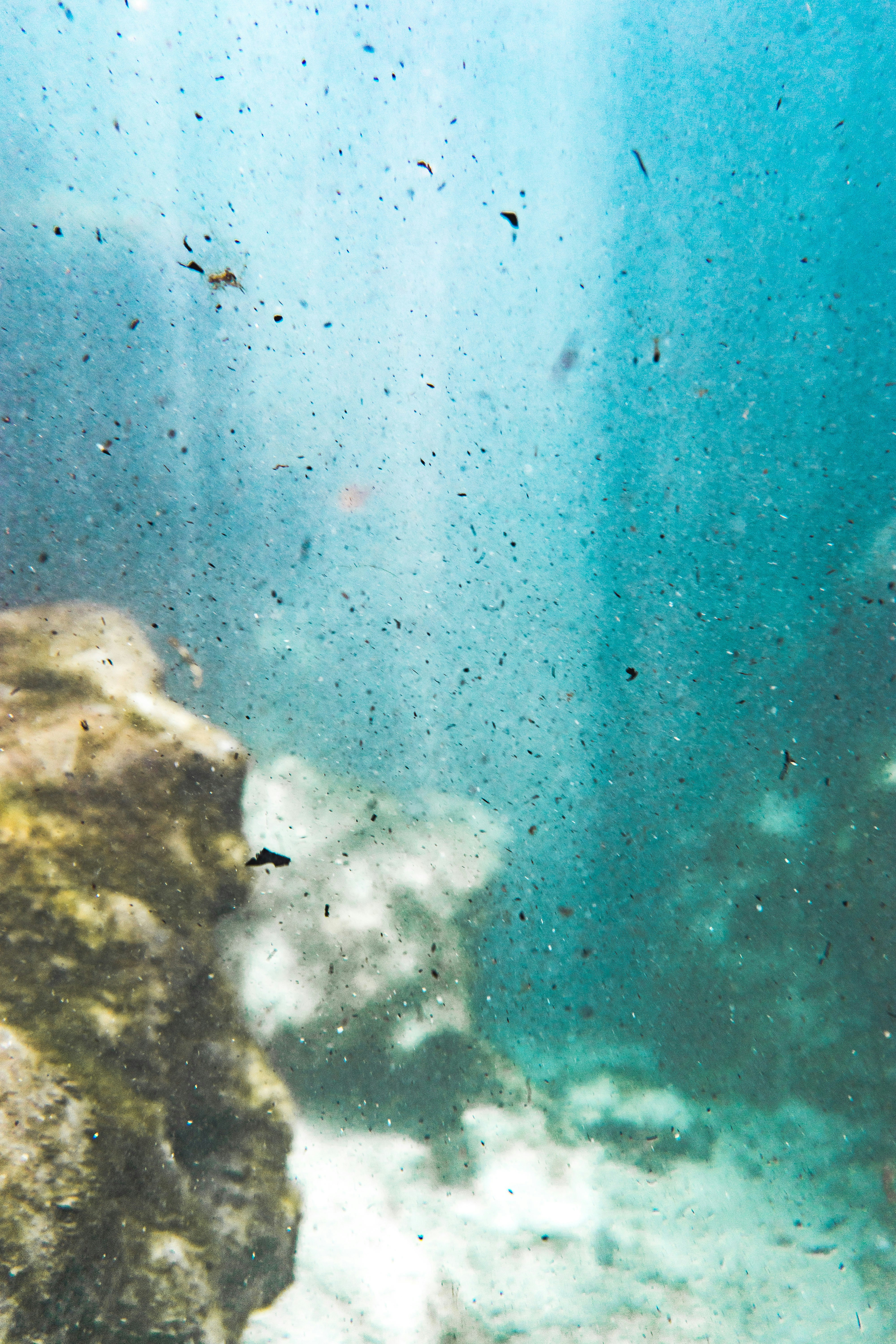 Underwater Rocky Seabed