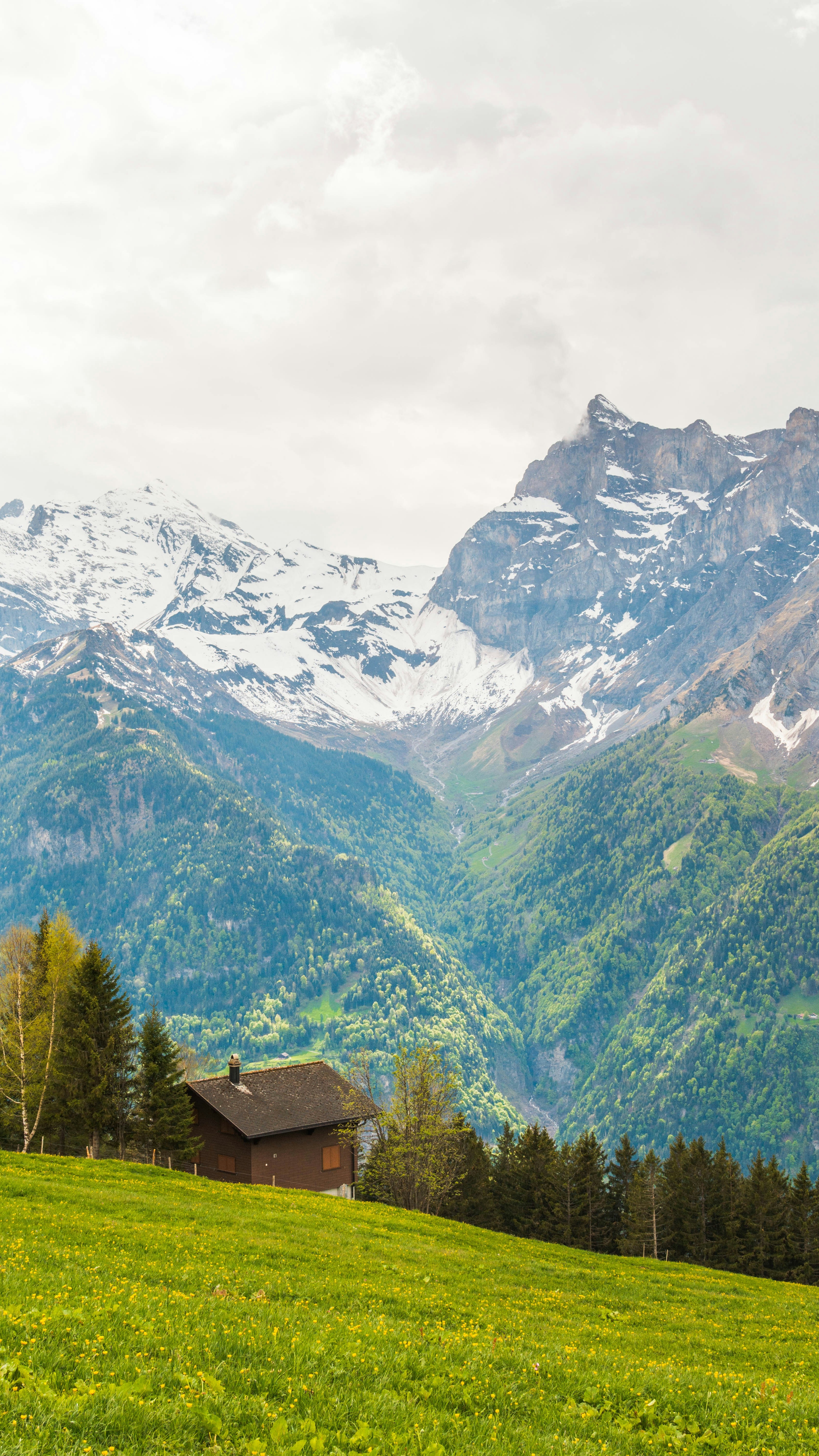 Alpine Chalet Mountain Landscape