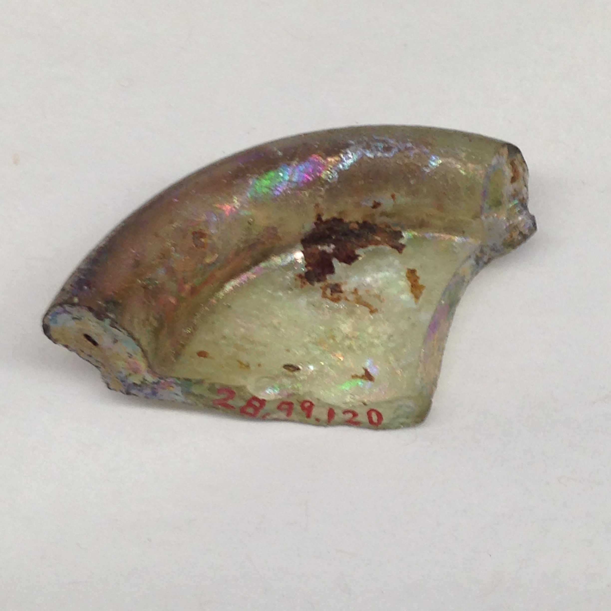 Ancient Glass Fragment Specimen