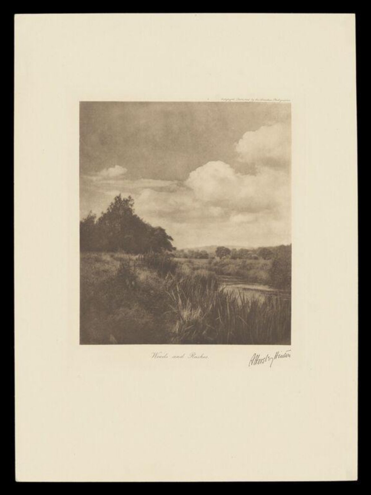 Woods and Rushes