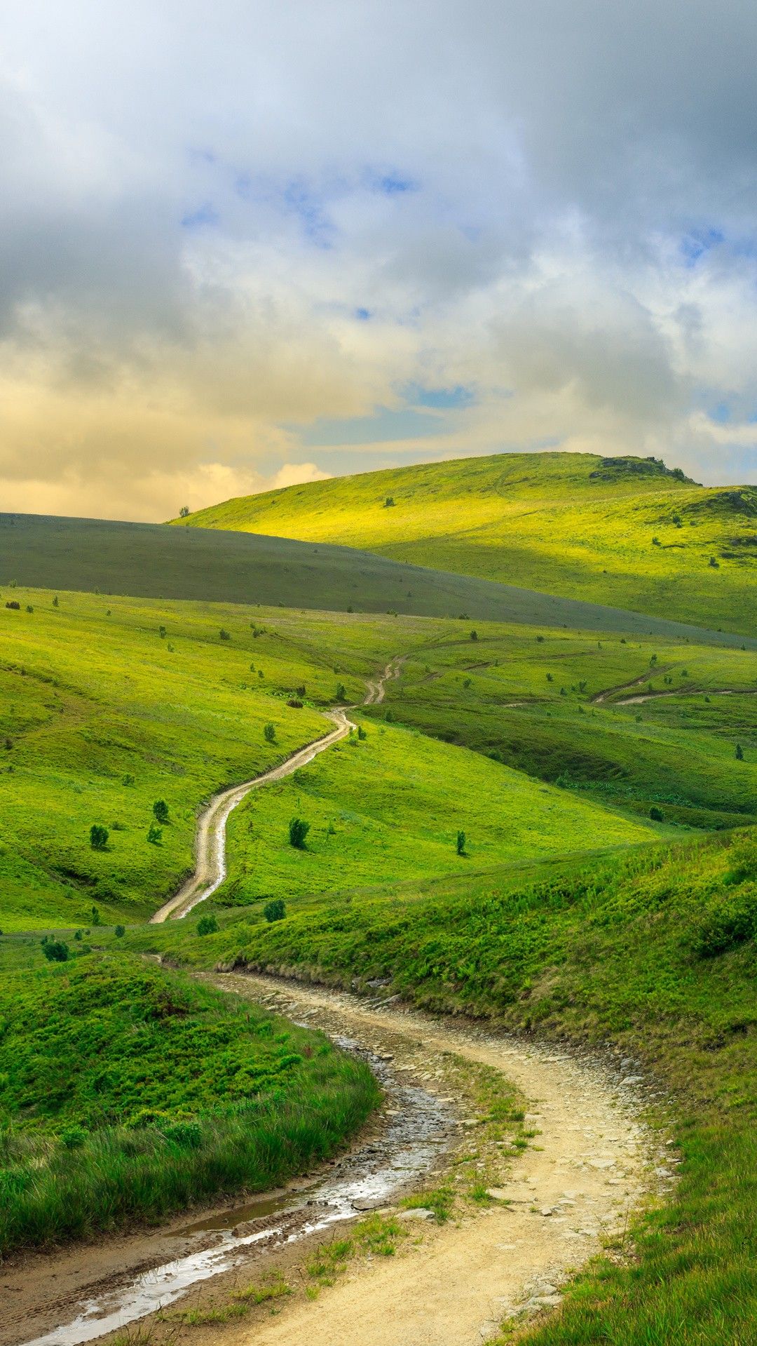 Winding Dirt Road Through Green Hills