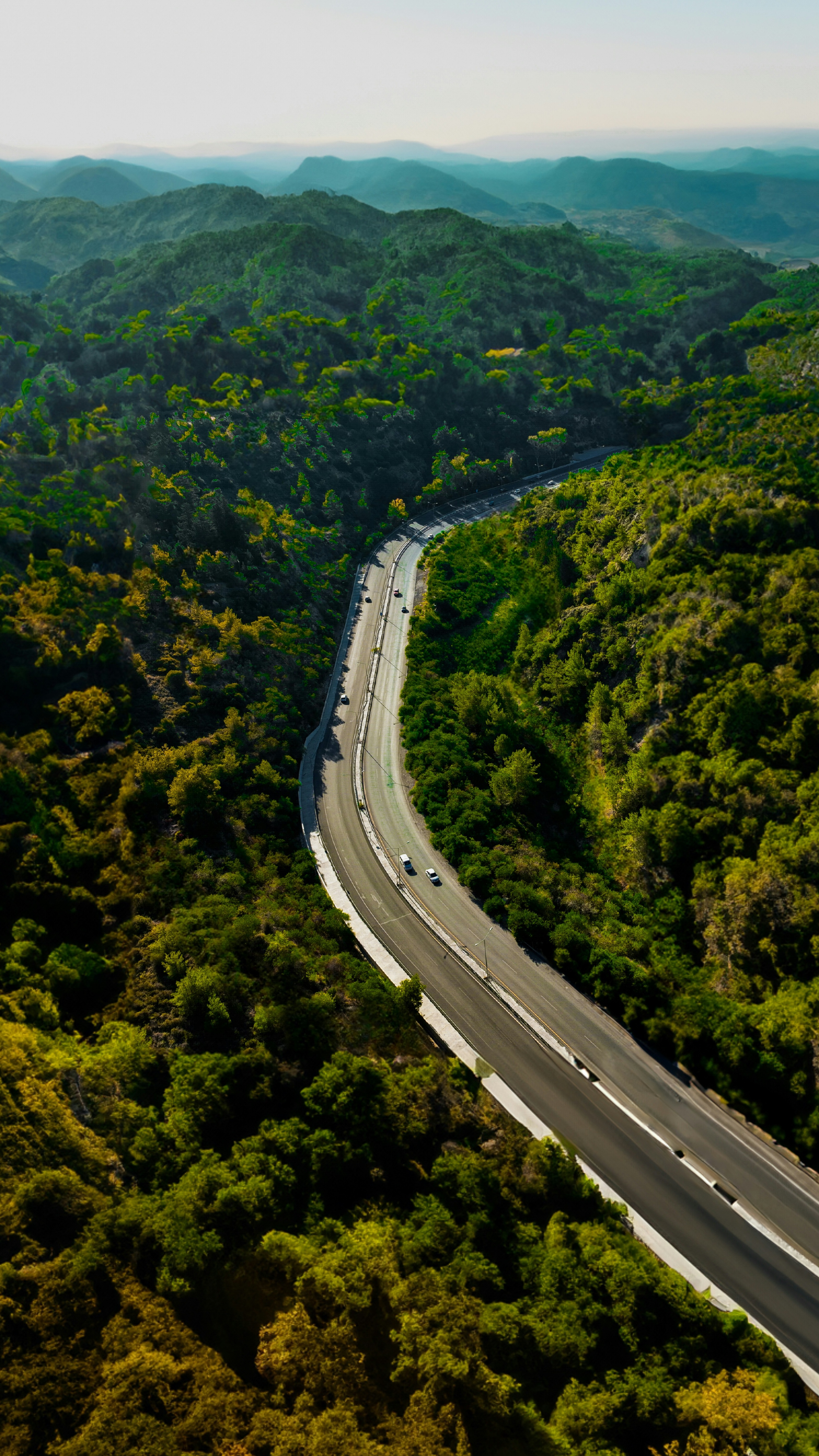 Wallpapers