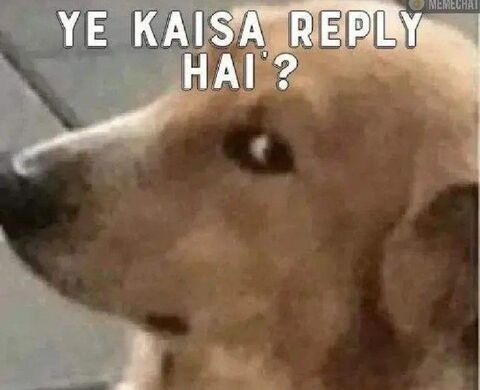 Ye Kaisa Reply Hai Confused Dog Meme