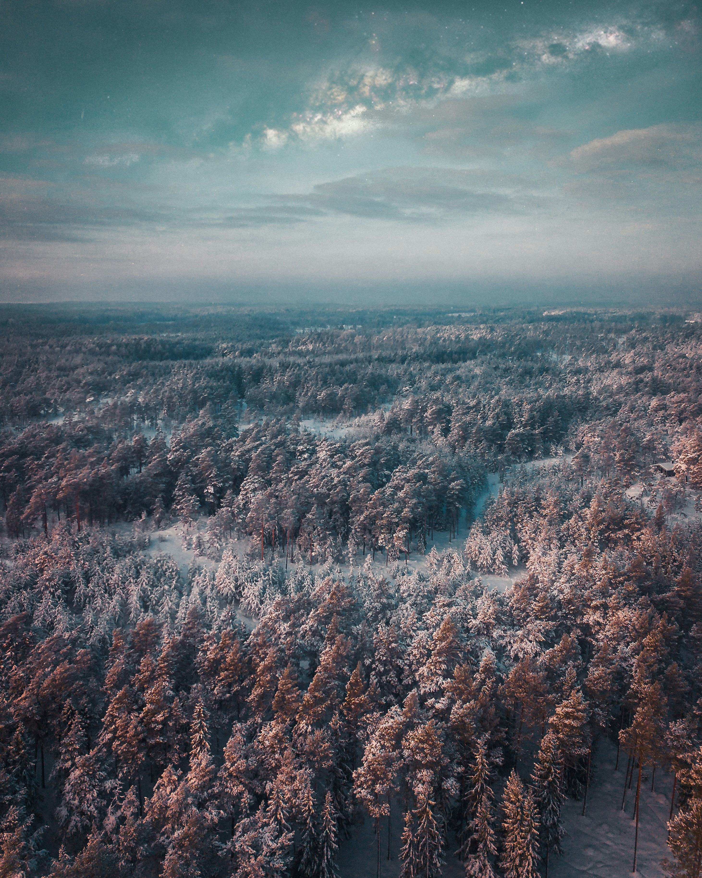 Aerial View of Snowy Forest