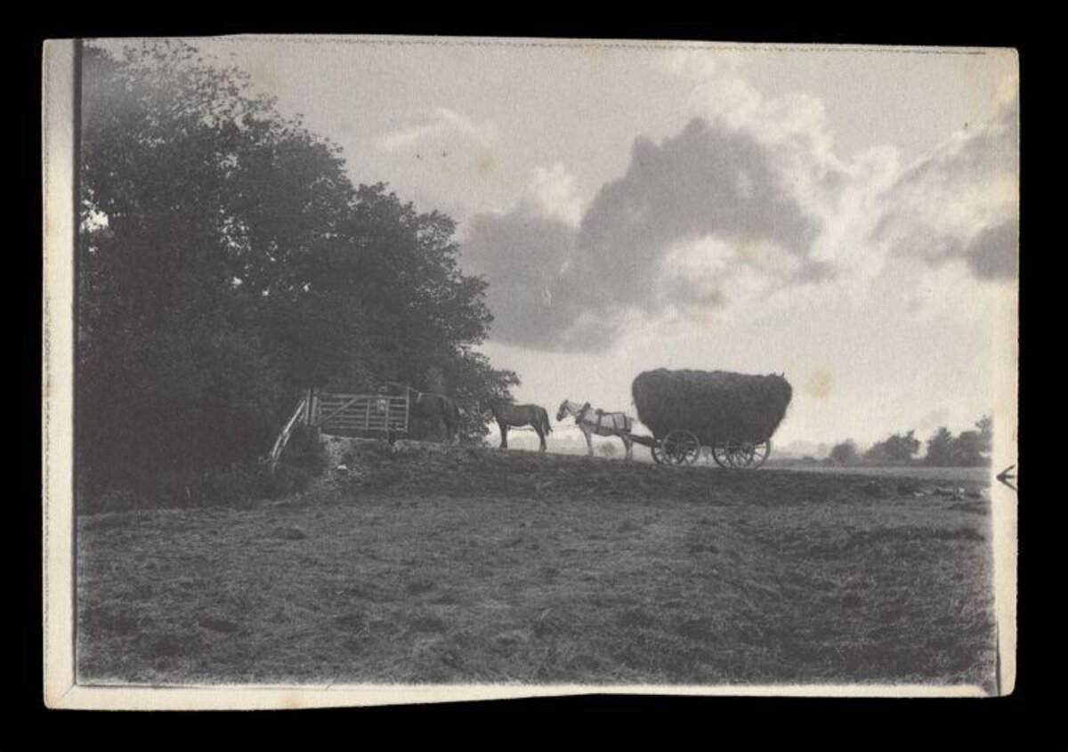 Vintage Horse Drawn Hay Wagon Scene