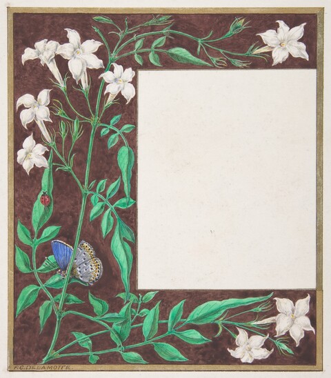 Jasmine and Insect Decorative Border