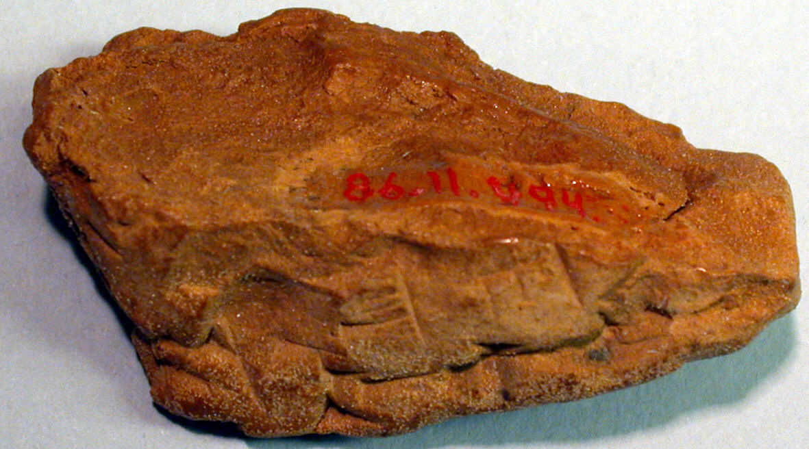 Marked Brown Clay Specimen
