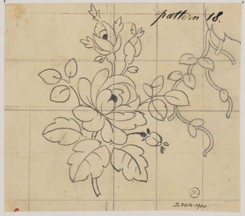 Rose Pattern Design Sketch