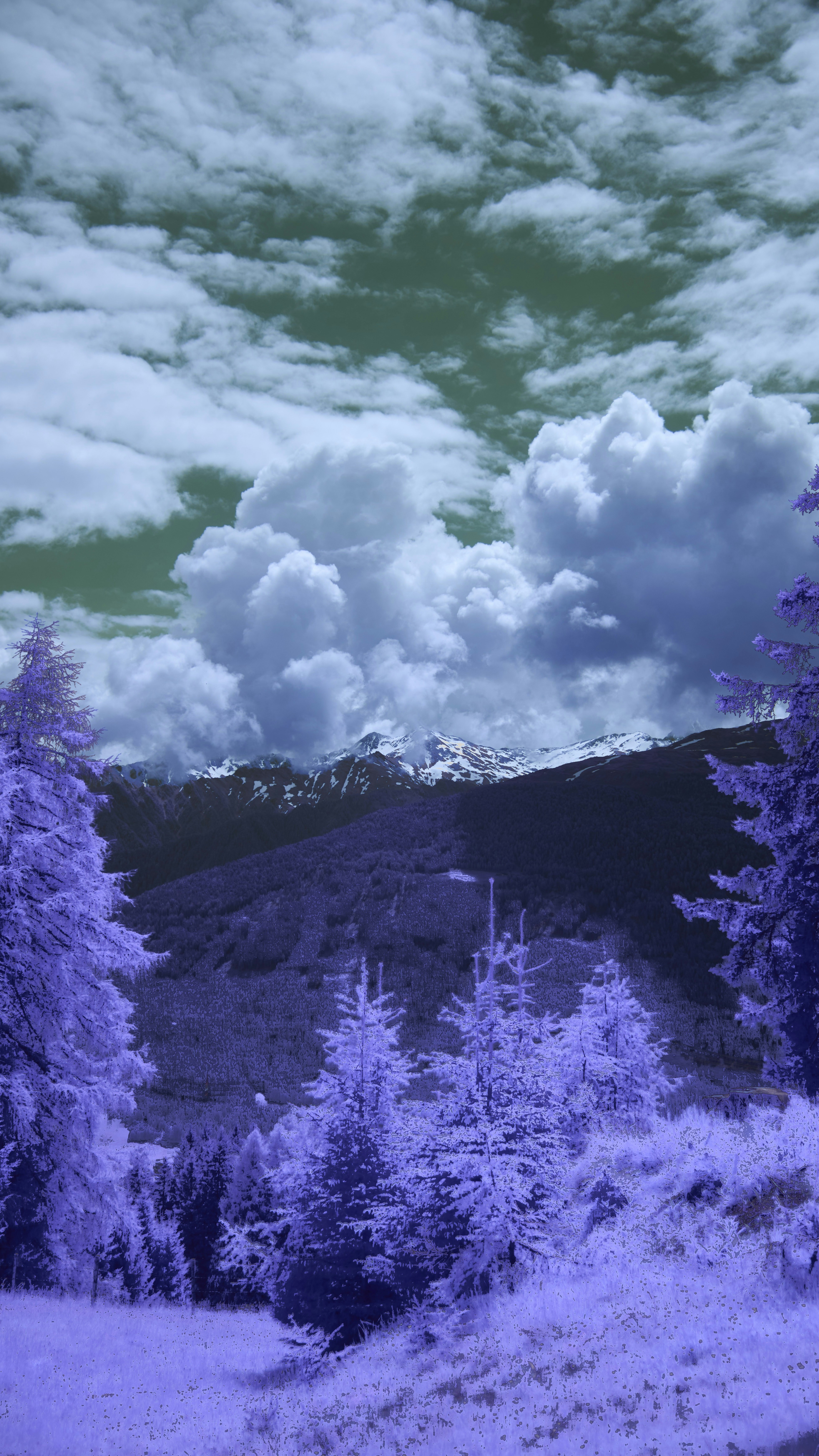 Wallpapers