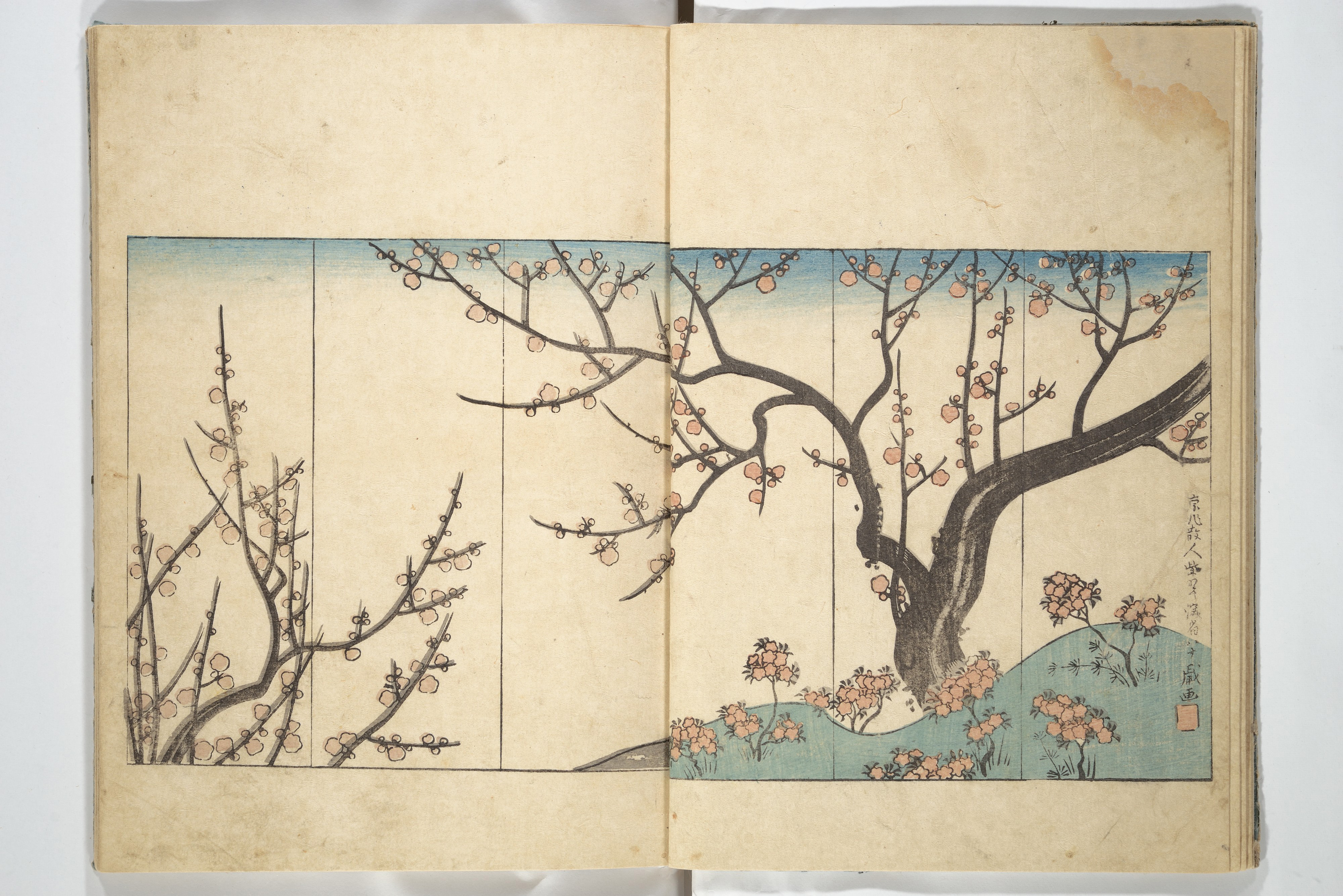 Japanese Plum Blossom Woodblock Print